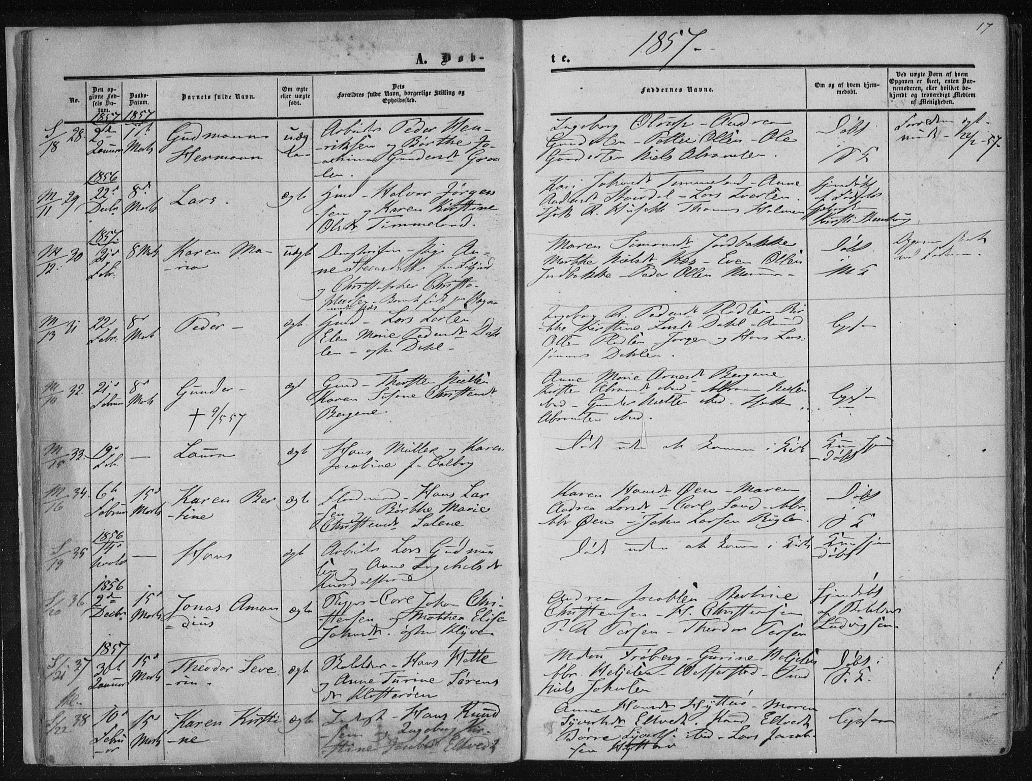 Solum kirkebøker, AV/SAKO-A-306/F/Fa/L0007: Parish register (official) no. I 7, 1856-1864, p. 17