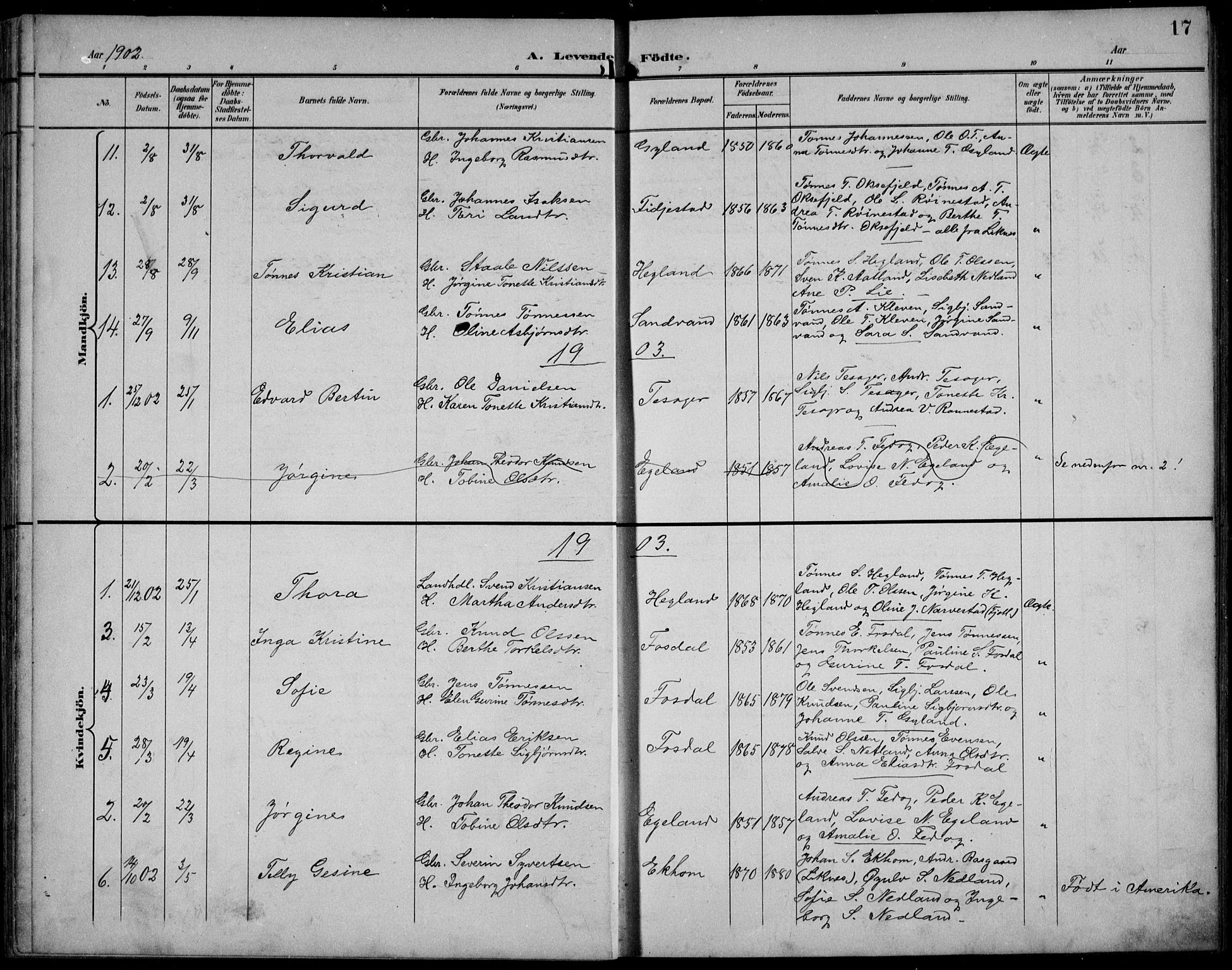 Bakke sokneprestkontor, SAK/1111-0002/F/Fb/Fbb/L0004: Parish register (copy) no. B 4, 1896-1927, p. 17