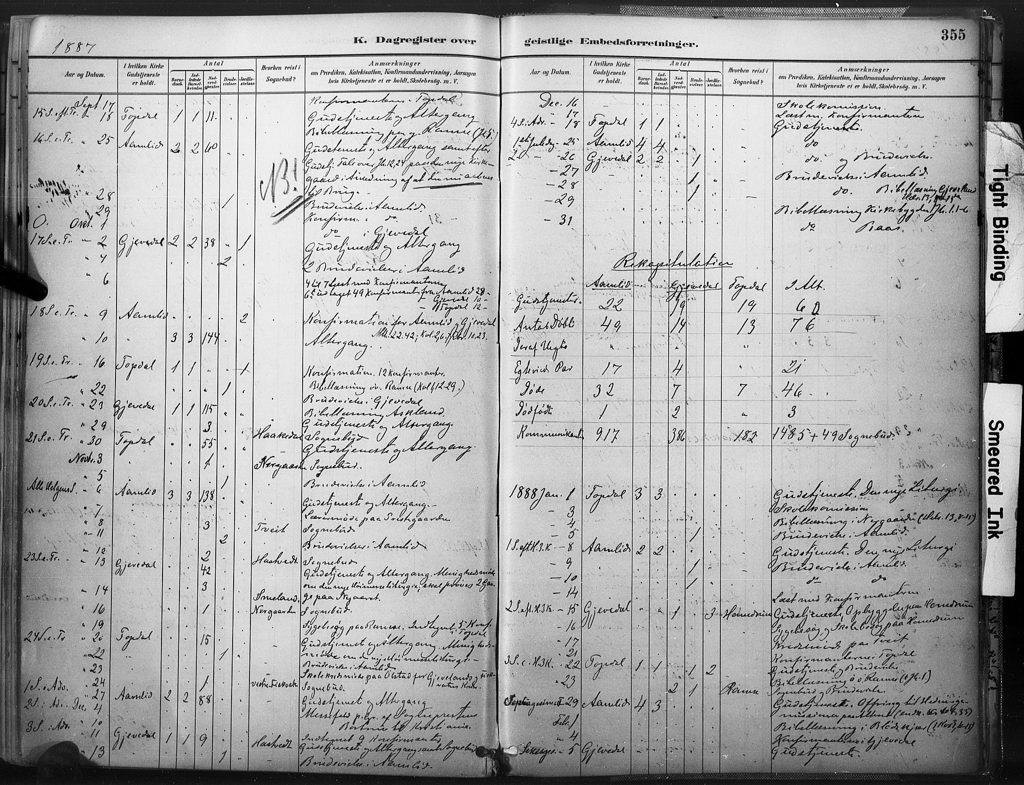 Åmli sokneprestkontor, SAK/1111-0050/F/Fa/Fac/L0010: Parish register (official) no. A 10 /1, 1885-1899, p. 355