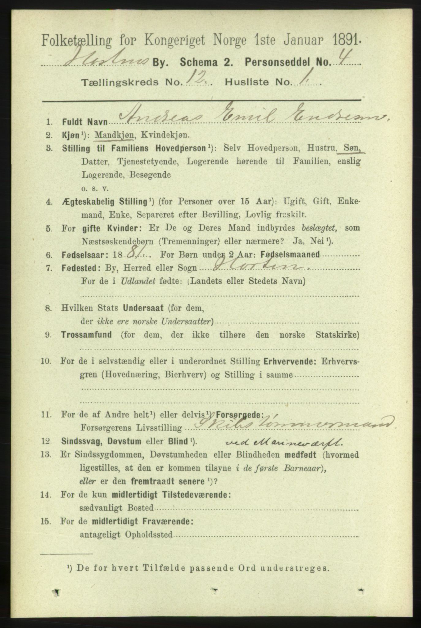 RA, 1891 census for 0703 Horten, 1891, p. 7396