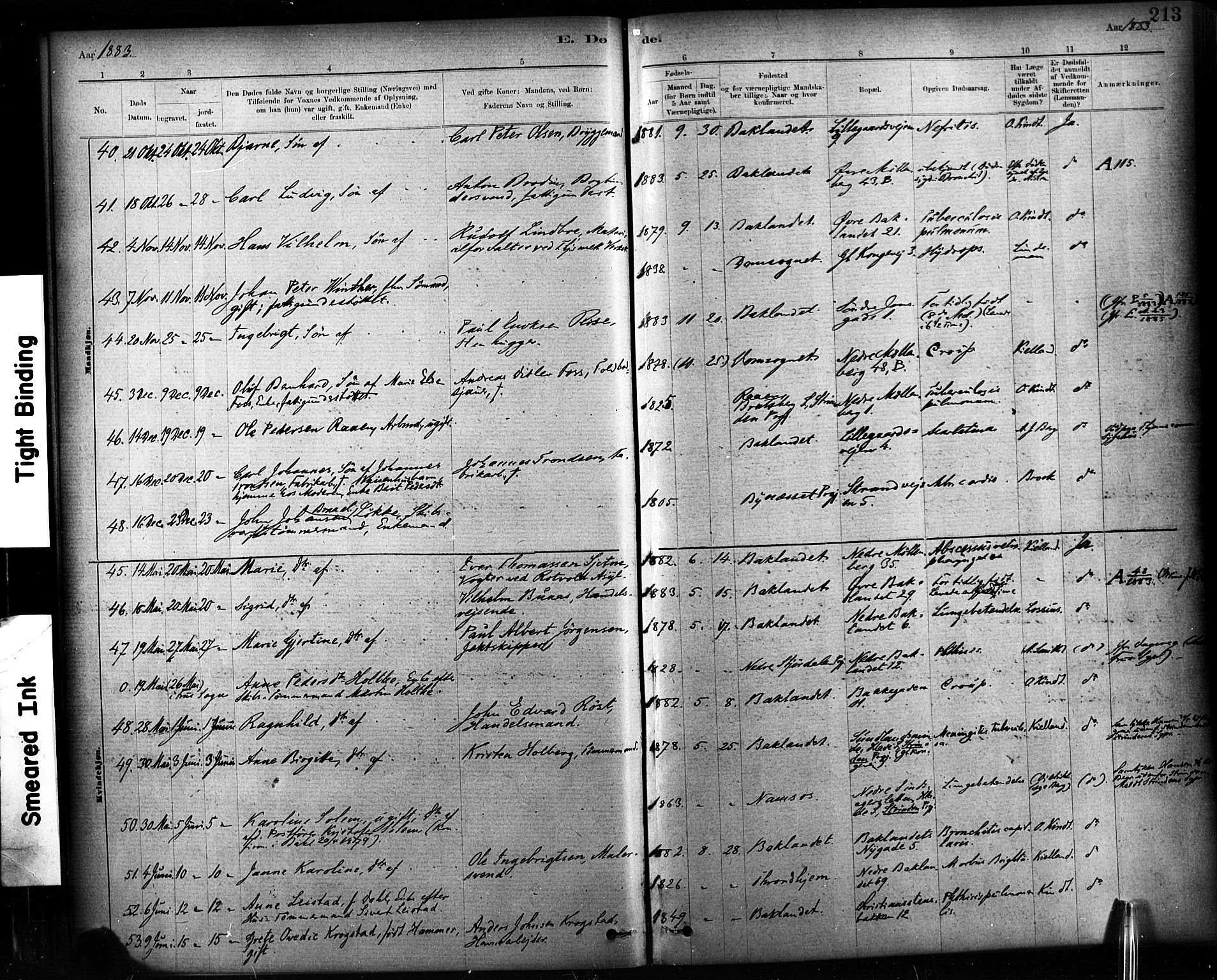 Ministerialprotokoller, klokkerbøker og fødselsregistre - Sør-Trøndelag, AV/SAT-A-1456/604/L0189: Parish register (official) no. 604A10, 1878-1892, p. 213