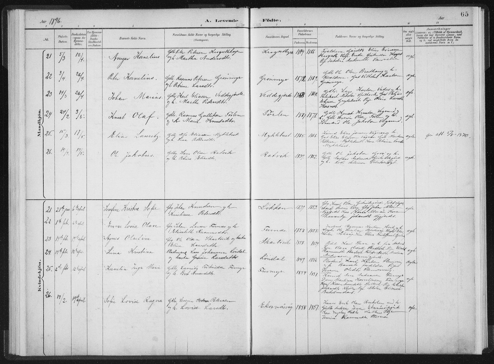 Ministerialprotokoller, klokkerbøker og fødselsregistre - Møre og Romsdal, SAT/A-1454/528/L0405: Parish register (official) no. 528A14, 1891-1906, p. 65