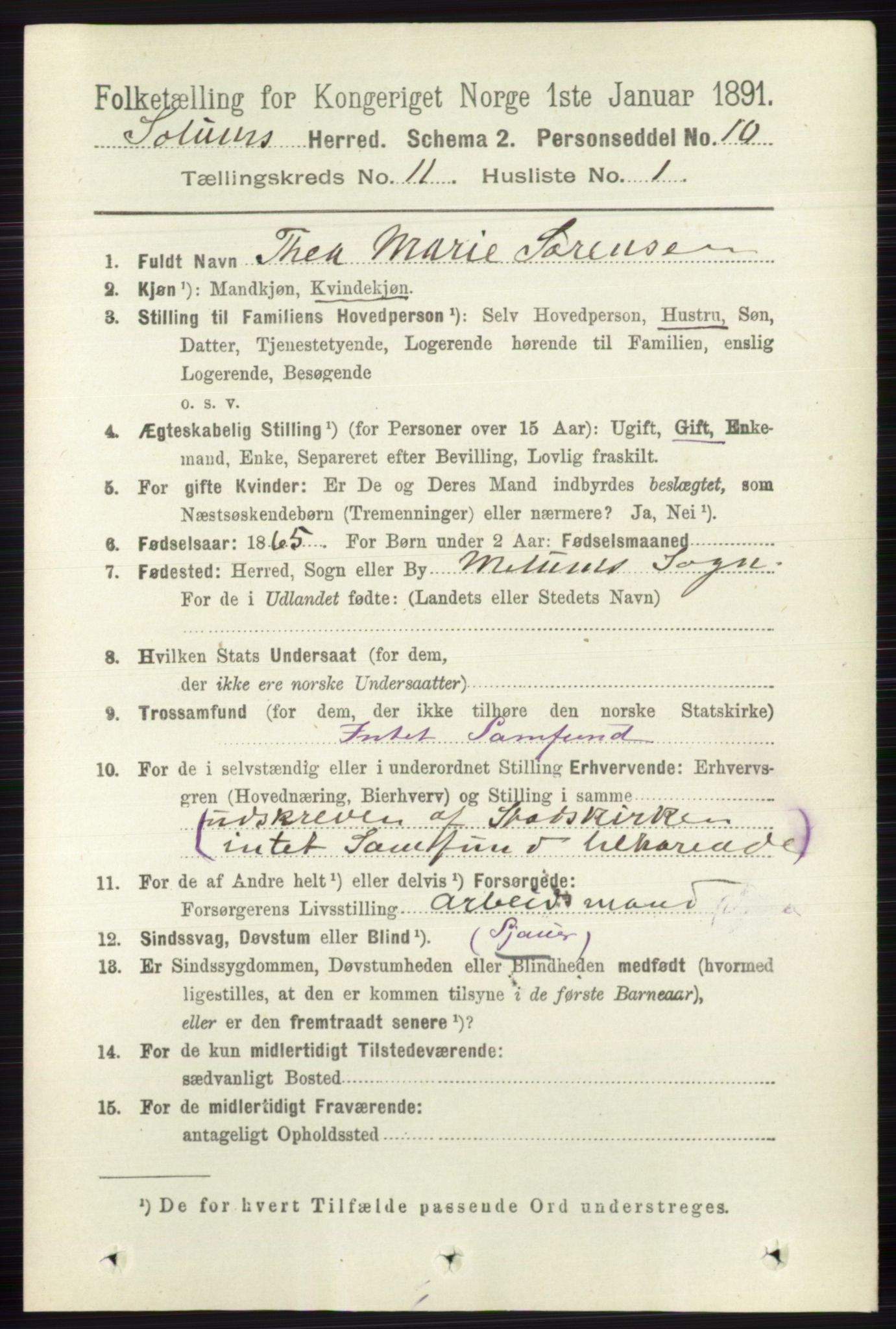 RA, 1891 census for 0818 Solum, 1891, p. 5296