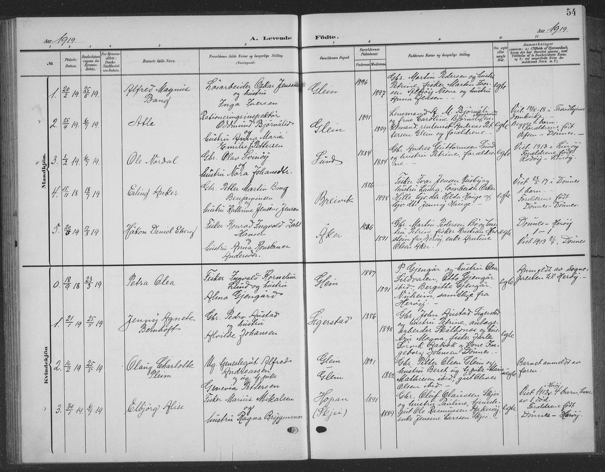 Ministerialprotokoller, klokkerbøker og fødselsregistre - Nordland, SAT/A-1459/835/L0533: Parish register (copy) no. 835C05, 1906-1939, p. 54