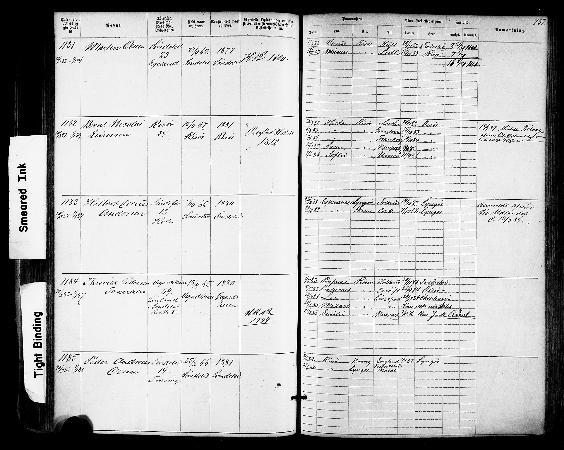 Risør mønstringskrets, AV/SAK-2031-0010/F/Fa/L0003: Annotasjonsrulle nr 1-1913 med register, T-7, 1863-1899, p. 175