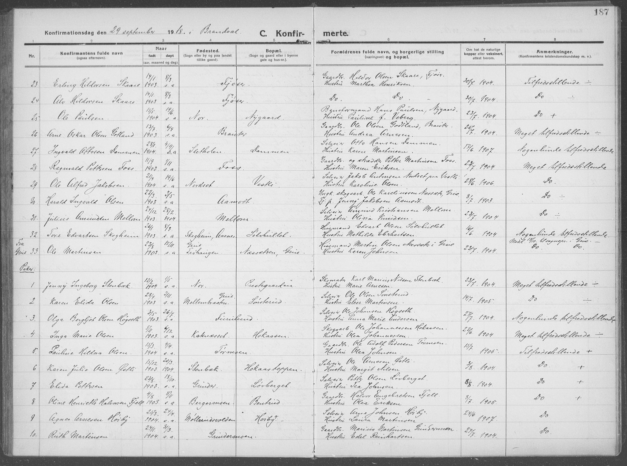 Brandval prestekontor, AV/SAH-PREST-034/H/Ha/Haa/L0004: Parish register (official) no. 4, 1910-1924, p. 187