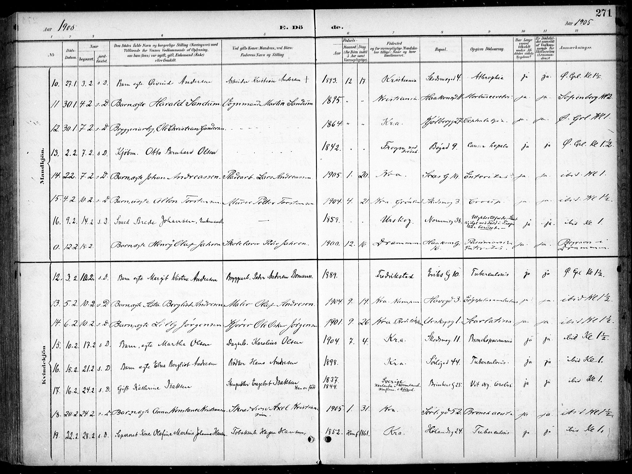 Kampen prestekontor Kirkebøker, AV/SAO-A-10853/F/Fa/L0009: Parish register (official) no. I 9, 1899-1911, p. 271