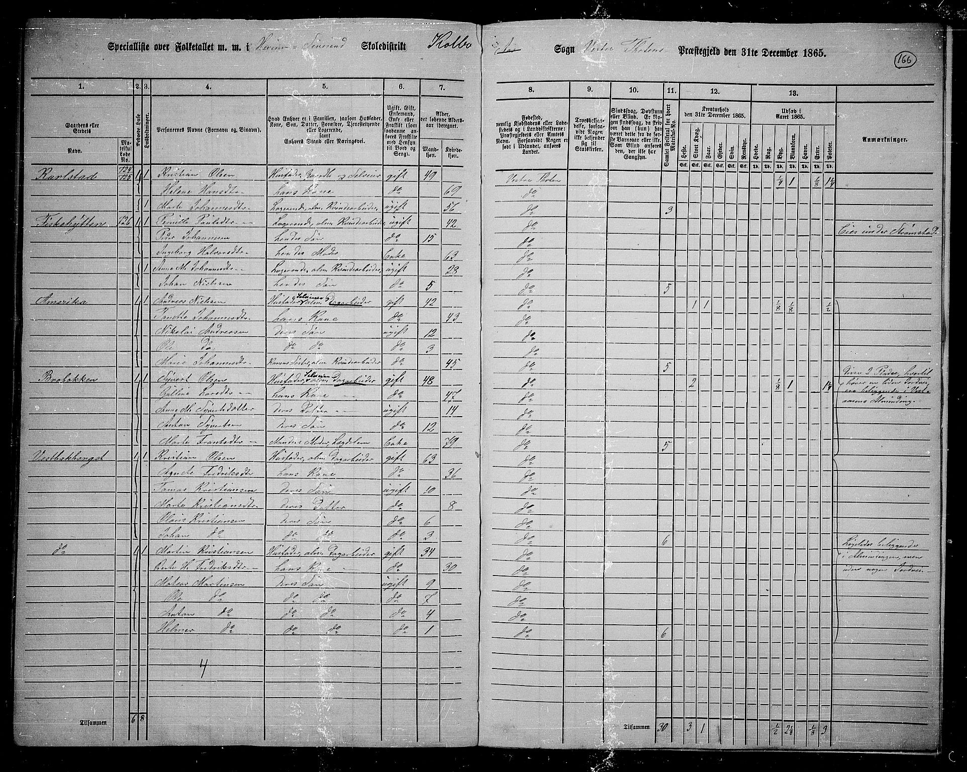 RA, 1865 census for Vestre Toten, 1865, p. 309