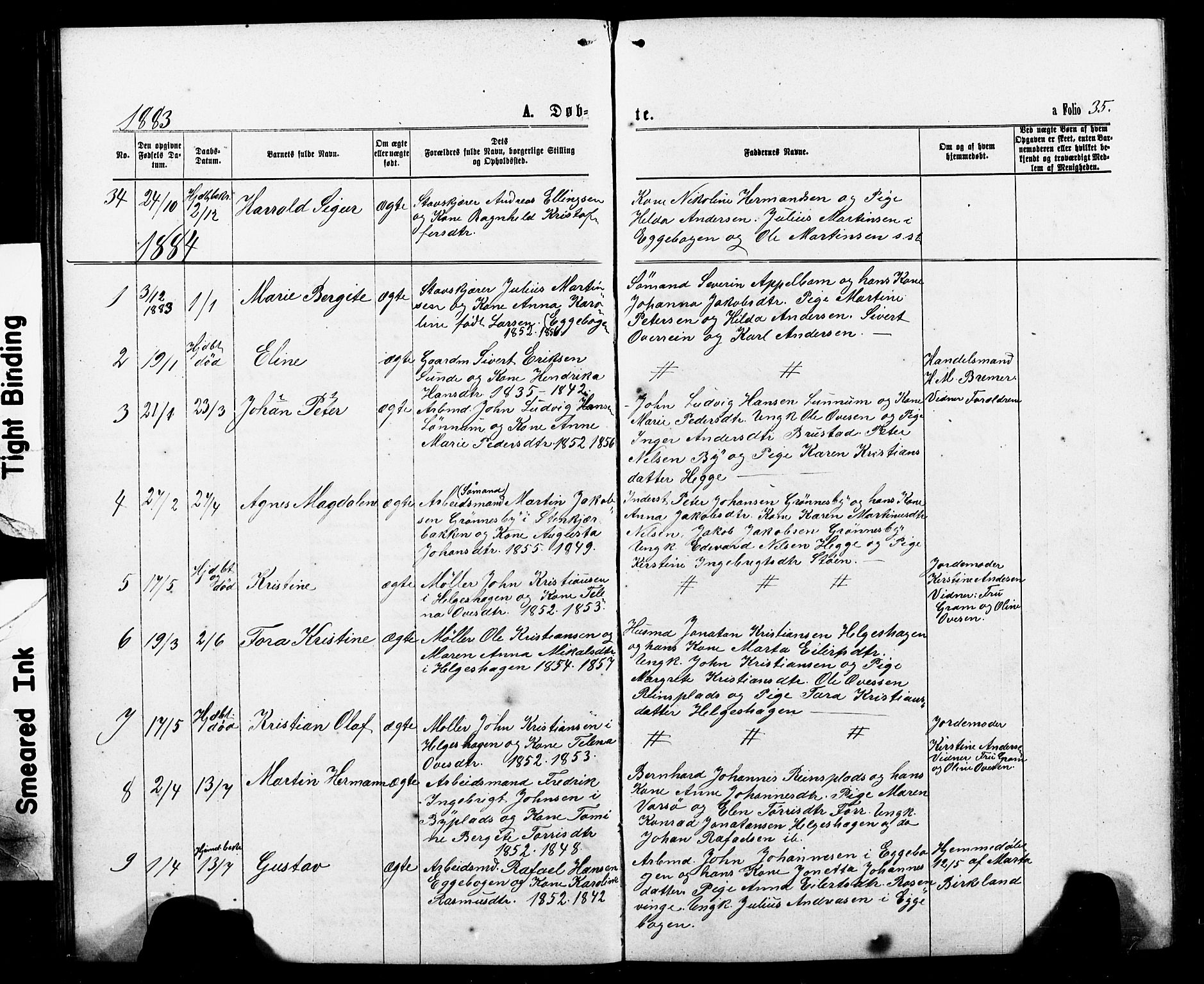 Ministerialprotokoller, klokkerbøker og fødselsregistre - Nord-Trøndelag, SAT/A-1458/740/L0380: Parish register (copy) no. 740C01, 1868-1902, p. 35