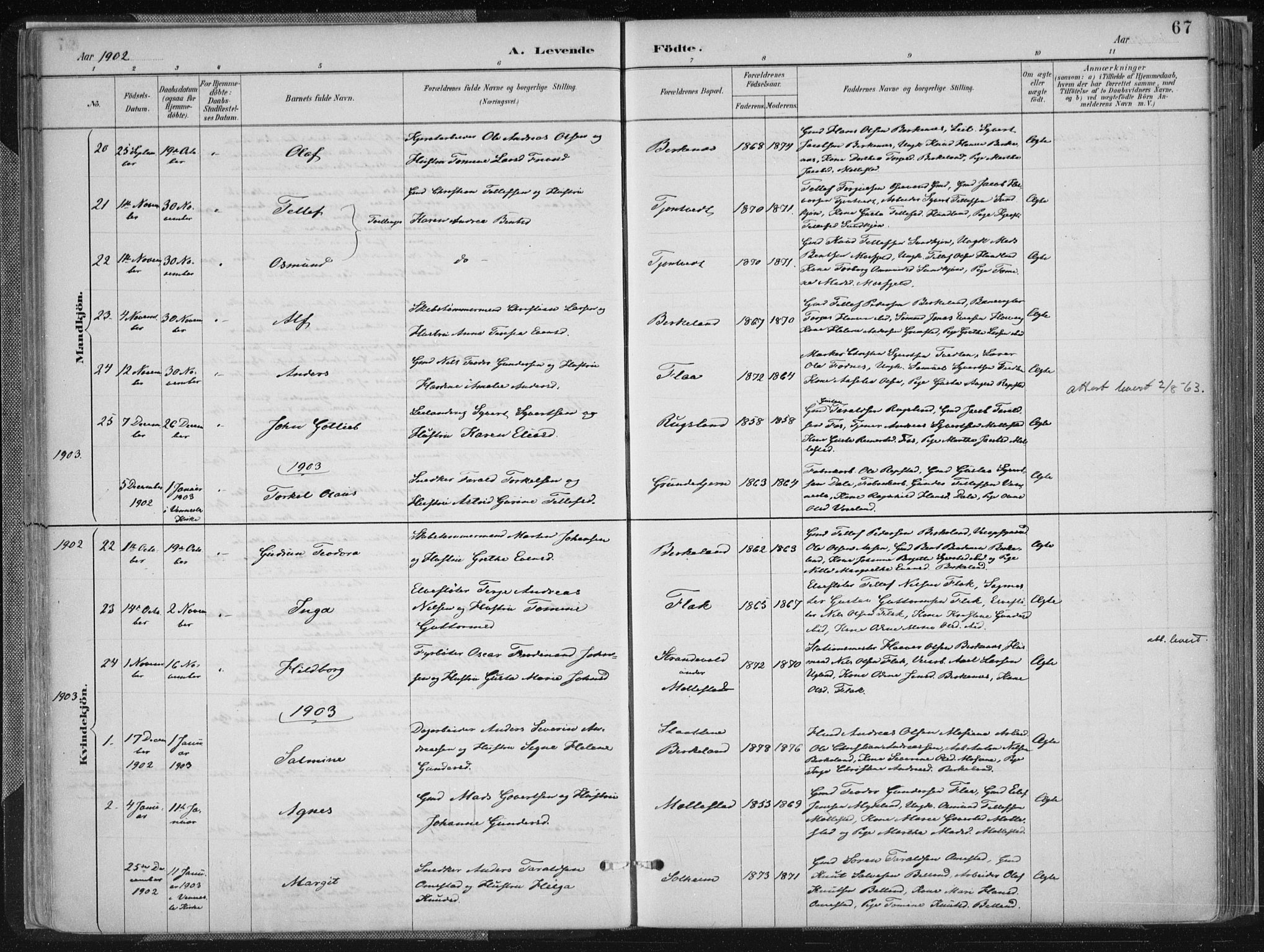 Birkenes sokneprestkontor, SAK/1111-0004/F/Fa/L0005: Parish register (official) no. A 5, 1887-1907, p. 67