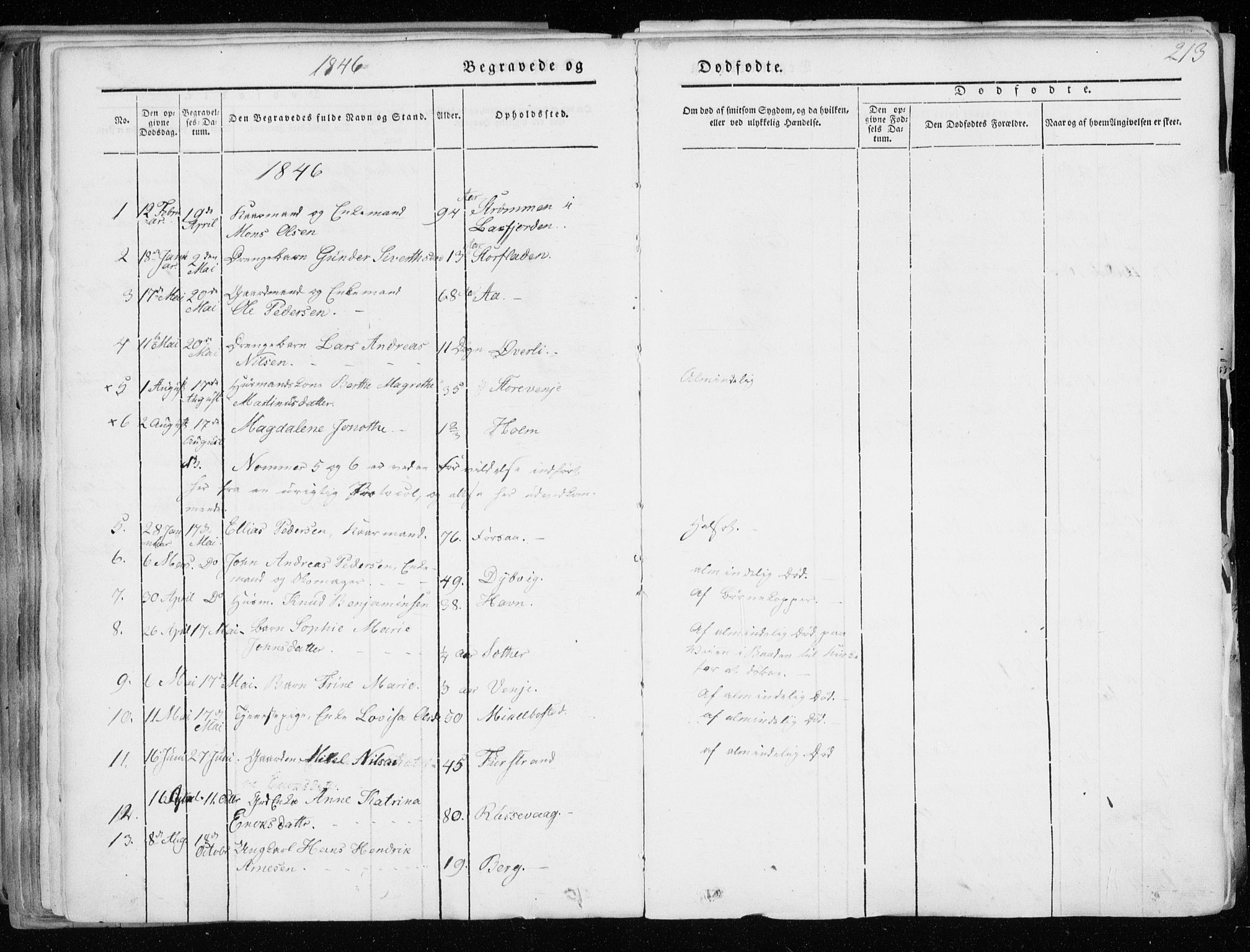 Tranøy sokneprestkontor, SATØ/S-1313/I/Ia/Iaa/L0006kirke: Parish register (official) no. 6, 1844-1855, p. 213