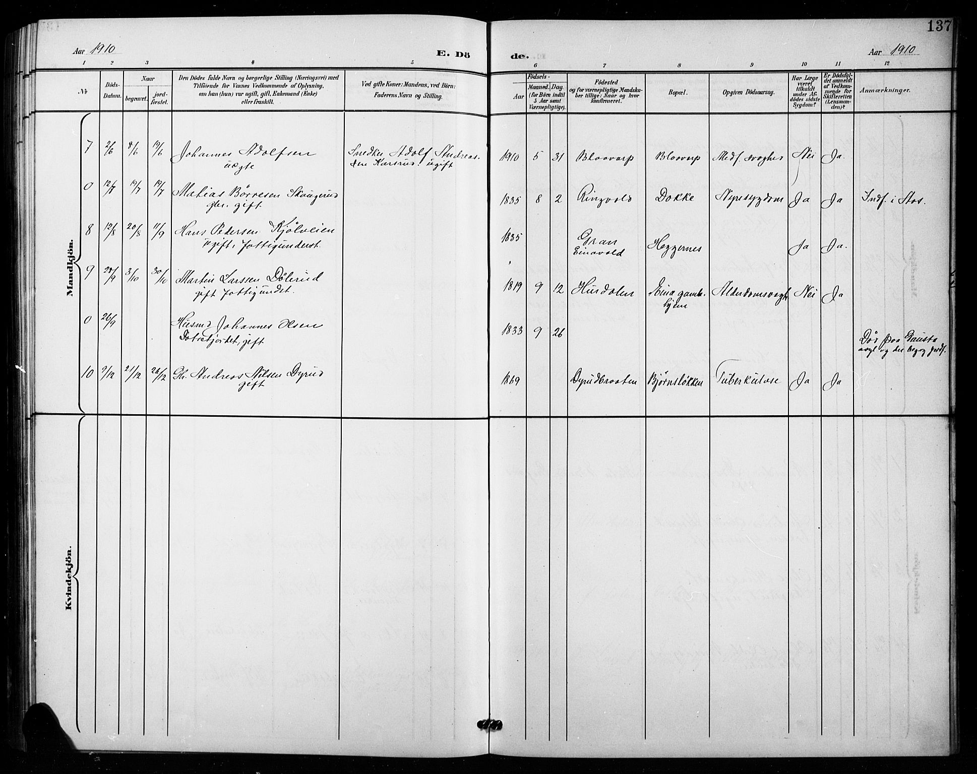 Vestre Toten prestekontor, SAH/PREST-108/H/Ha/Hab/L0016: Parish register (copy) no. 16, 1901-1915, p. 137
