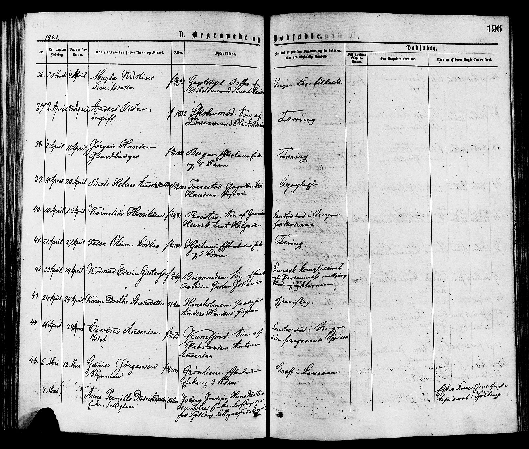 Sandar kirkebøker, SAKO/A-243/F/Fa/L0011: Parish register (official) no. 11, 1872-1882, p. 196