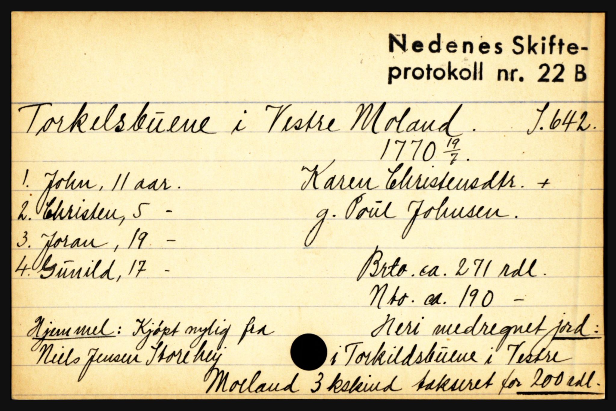 Nedenes sorenskriveri før 1824, AV/SAK-1221-0007/H, p. 30315