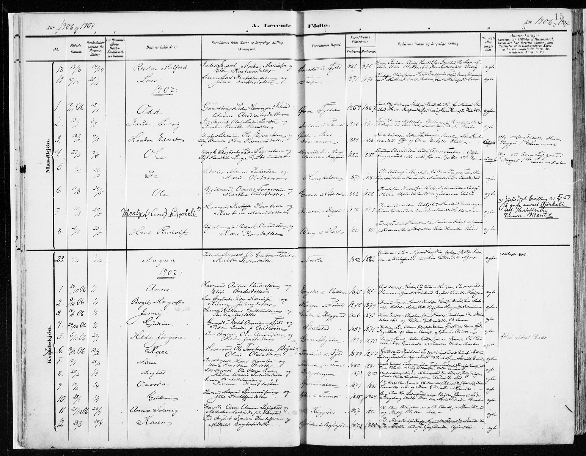 Nord-Odal prestekontor, SAH/PREST-032/H/Ha/Haa/L0009: Parish register (official) no. 9, 1902-1926, p. 15