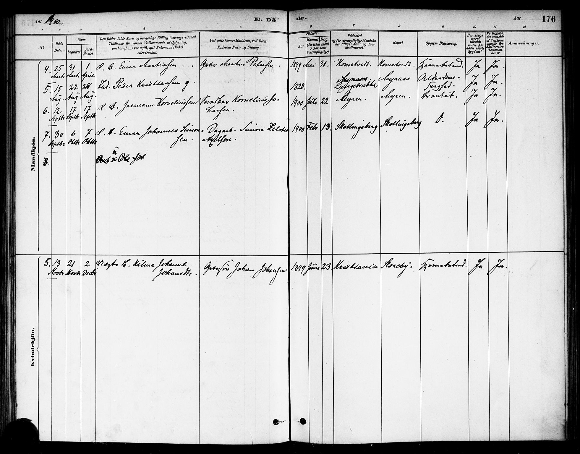 Eidsberg prestekontor Kirkebøker, AV/SAO-A-10905/F/Fb/L0001: Parish register (official) no. II 1, 1879-1900, p. 176