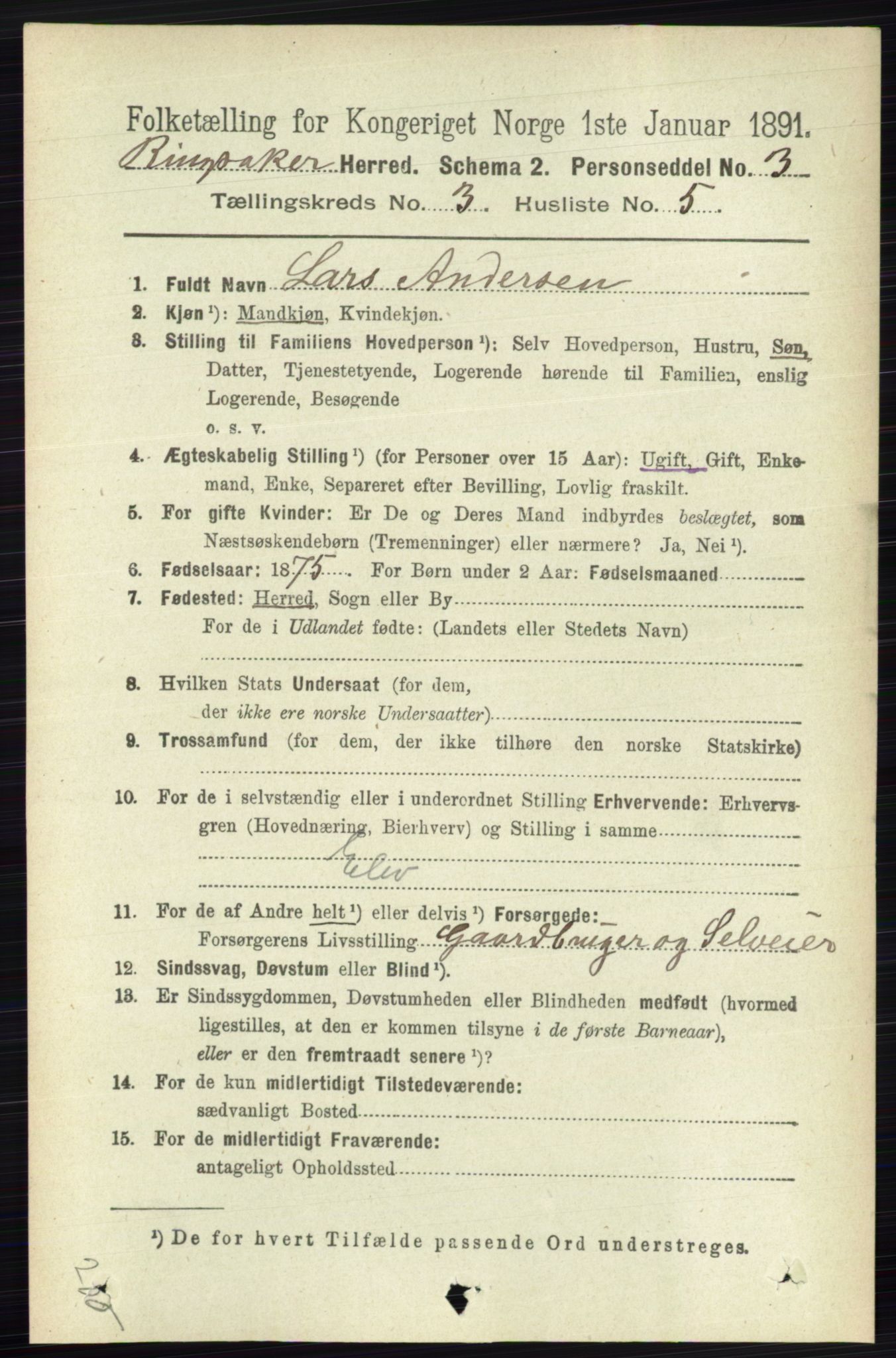RA, 1891 census for 0412 Ringsaker, 1891, p. 1266