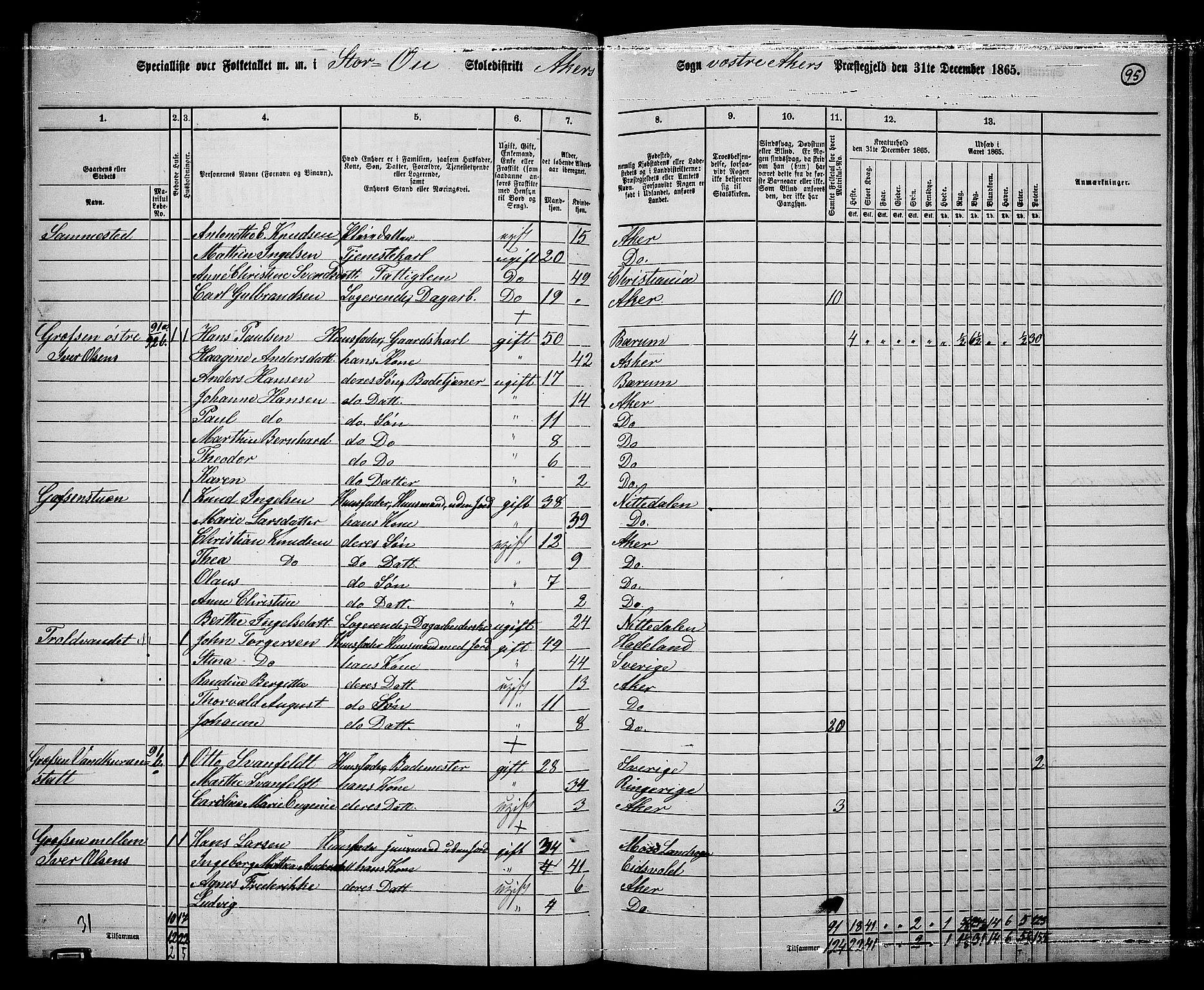 RA, 1865 census for Vestre Aker, 1865, p. 263