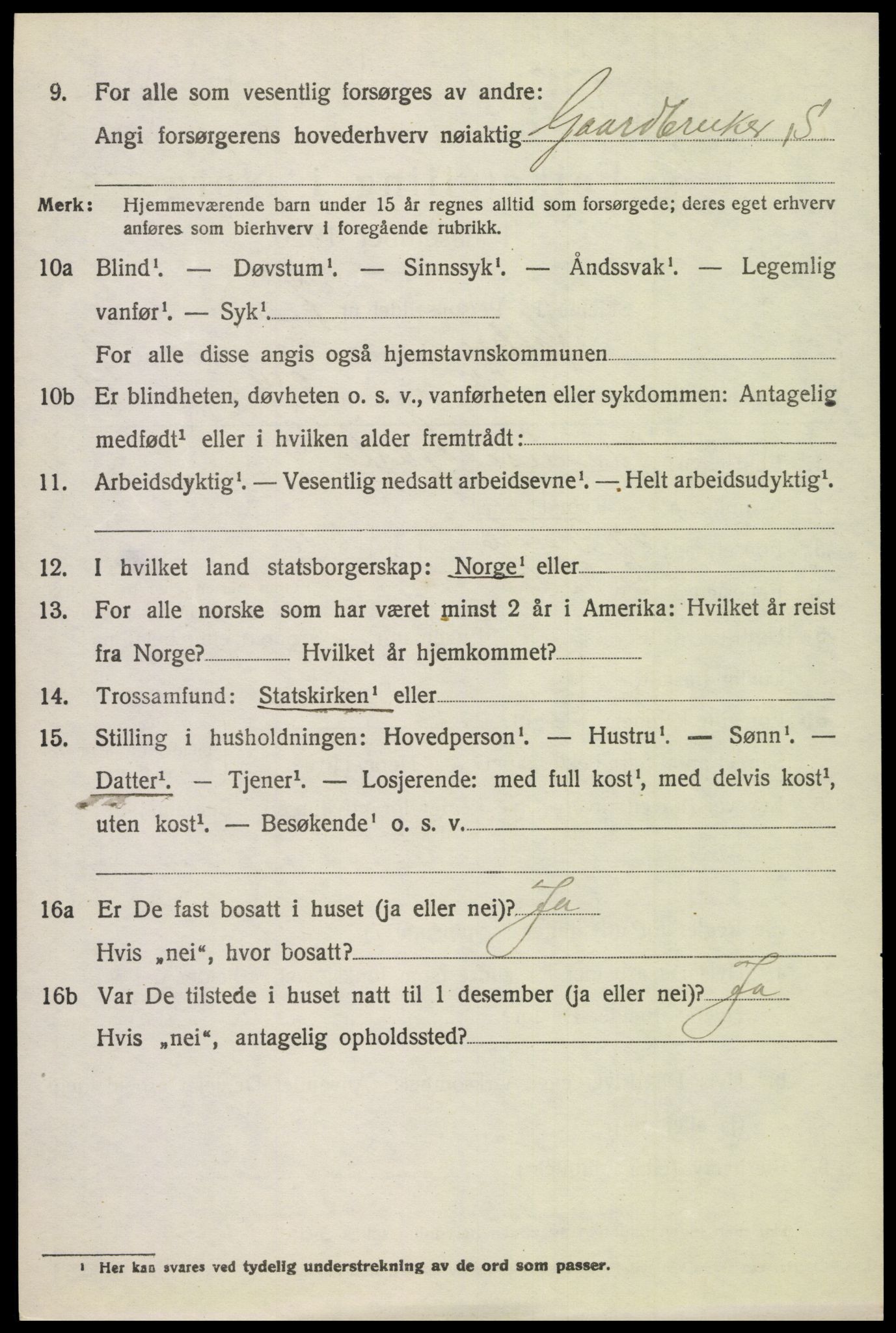 SAH, 1920 census for Kolbu, 1920, p. 5313