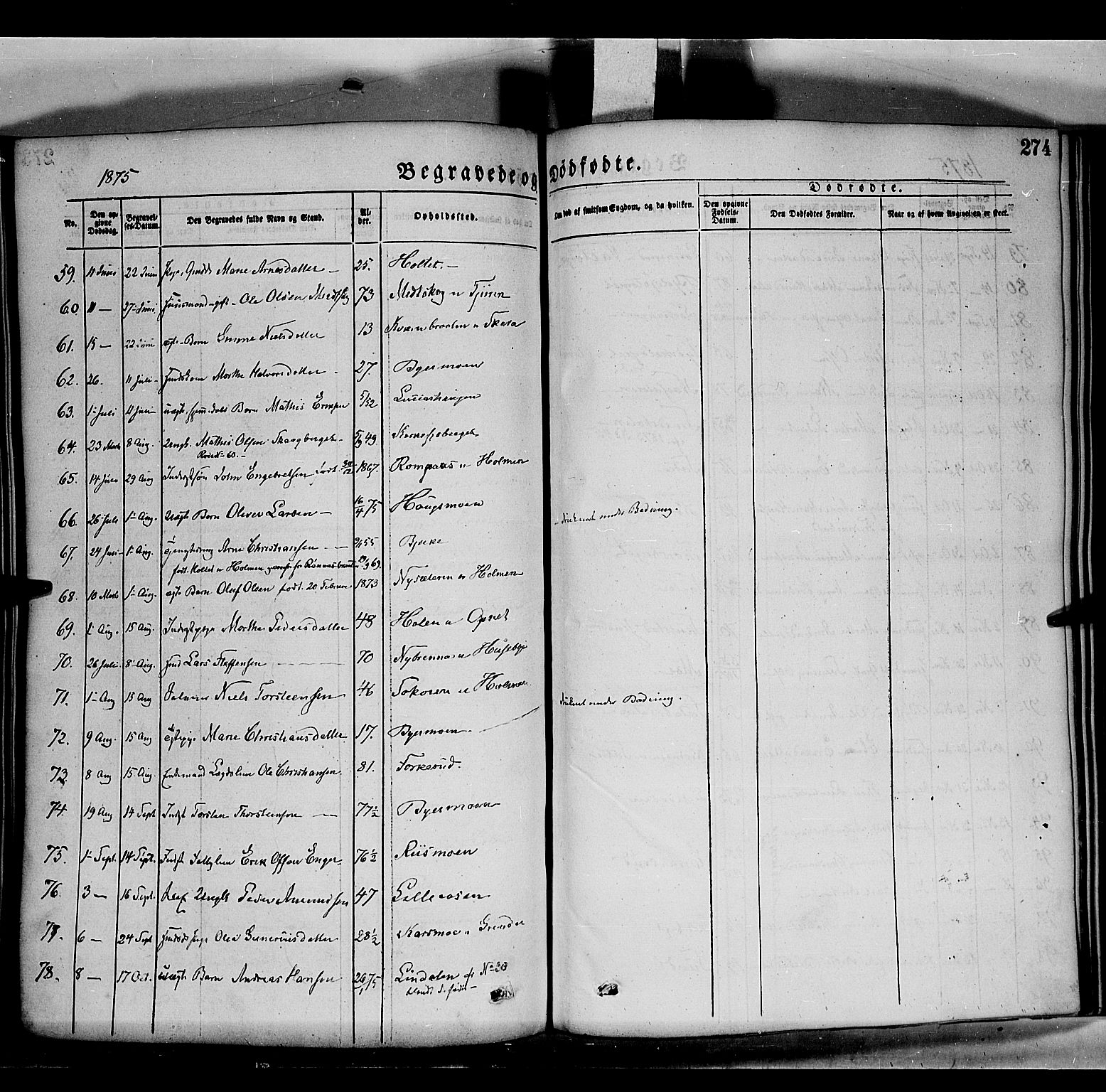 Grue prestekontor, AV/SAH-PREST-036/H/Ha/Haa/L0011: Parish register (official) no. 11, 1873-1880, p. 274