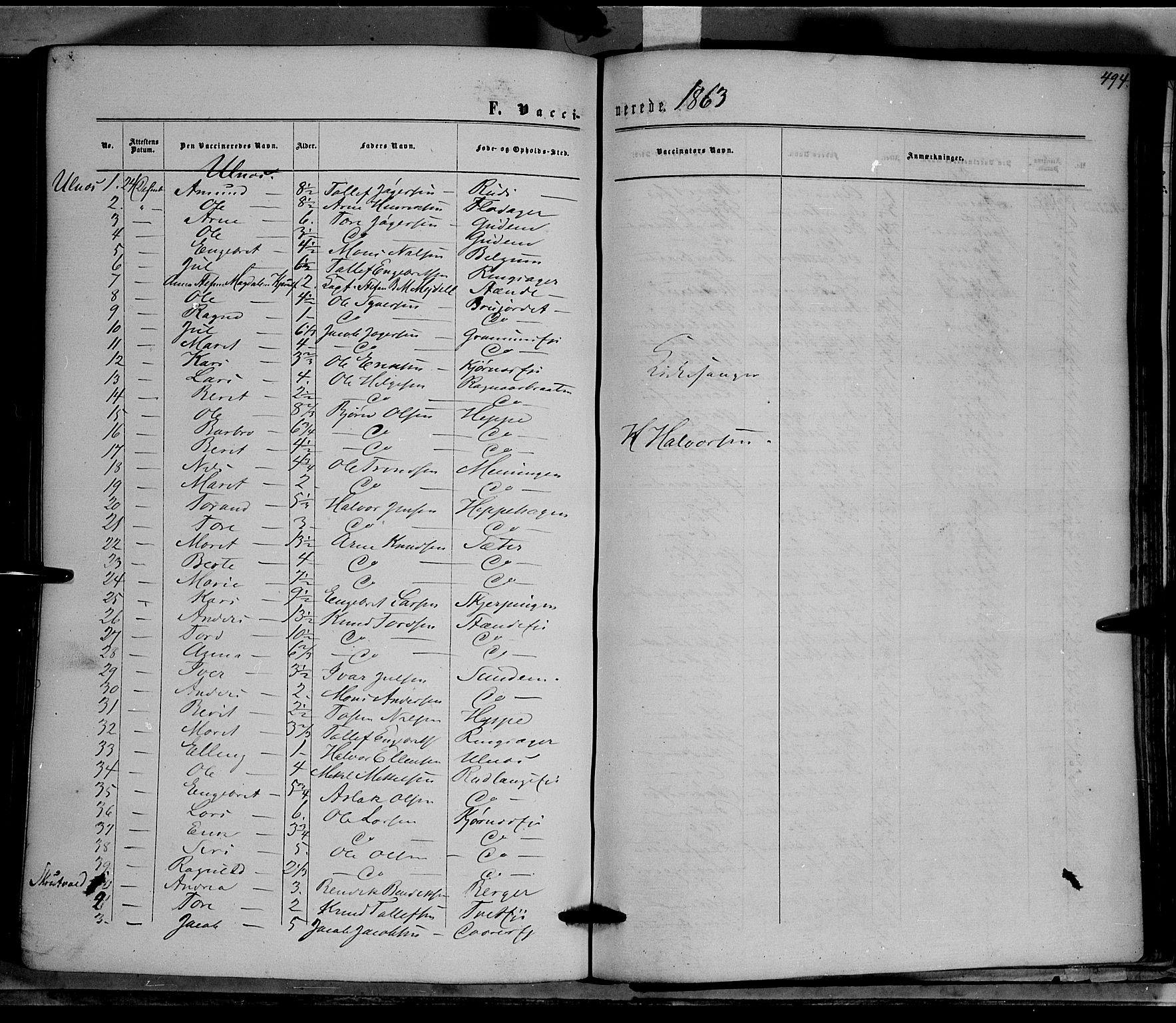 Nord-Aurdal prestekontor, SAH/PREST-132/H/Ha/Haa/L0008: Parish register (official) no. 8, 1863-1875, p. 494