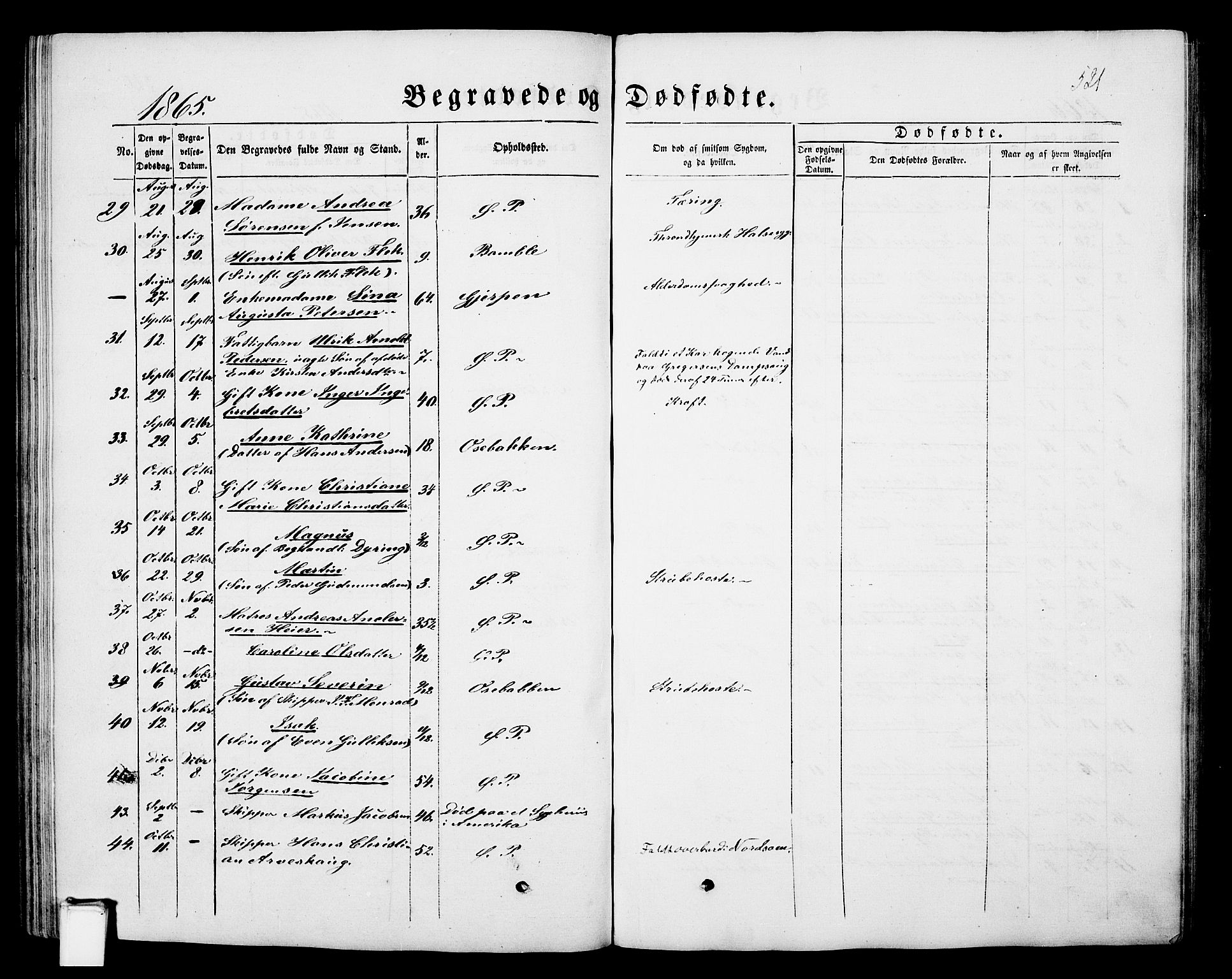 Porsgrunn kirkebøker , SAKO/A-104/G/Gb/L0004: Parish register (copy) no. II 4, 1853-1882, p. 521