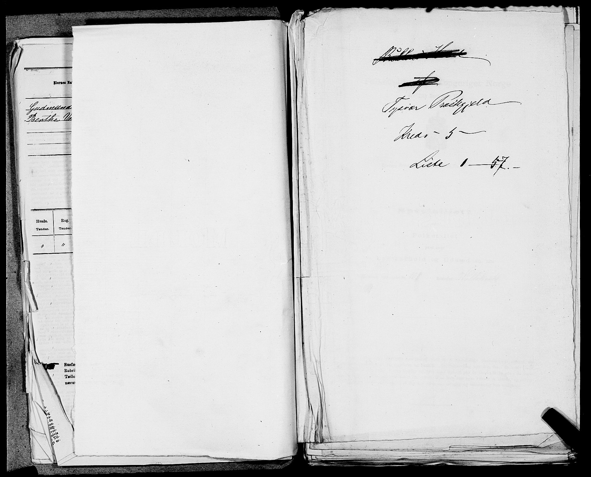 SAST, 1875 census for 1146P Tysvær, 1875, p. 529