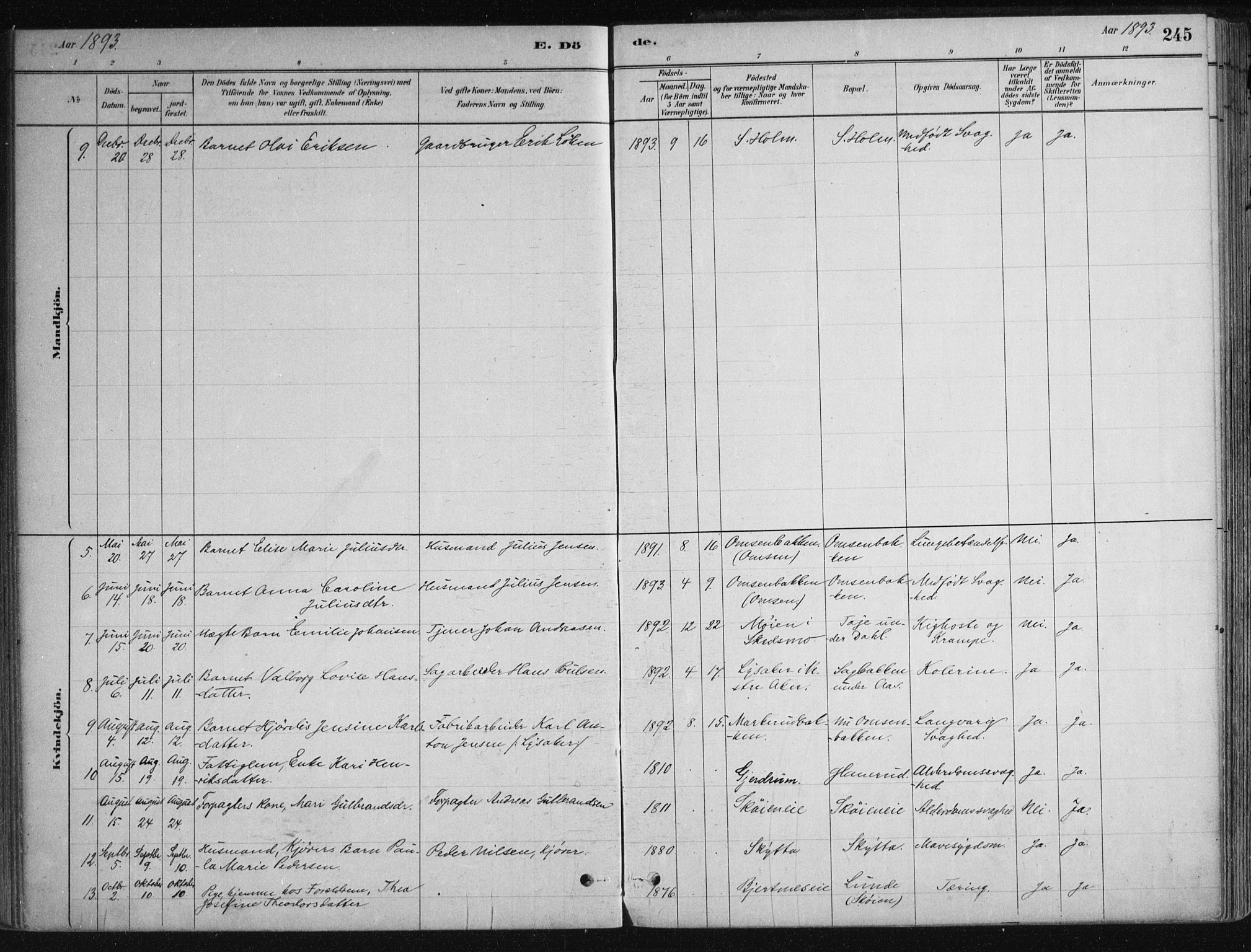 Nittedal prestekontor Kirkebøker, SAO/A-10365a/F/Fa/L0007: Parish register (official) no. I 7, 1879-1901, p. 245
