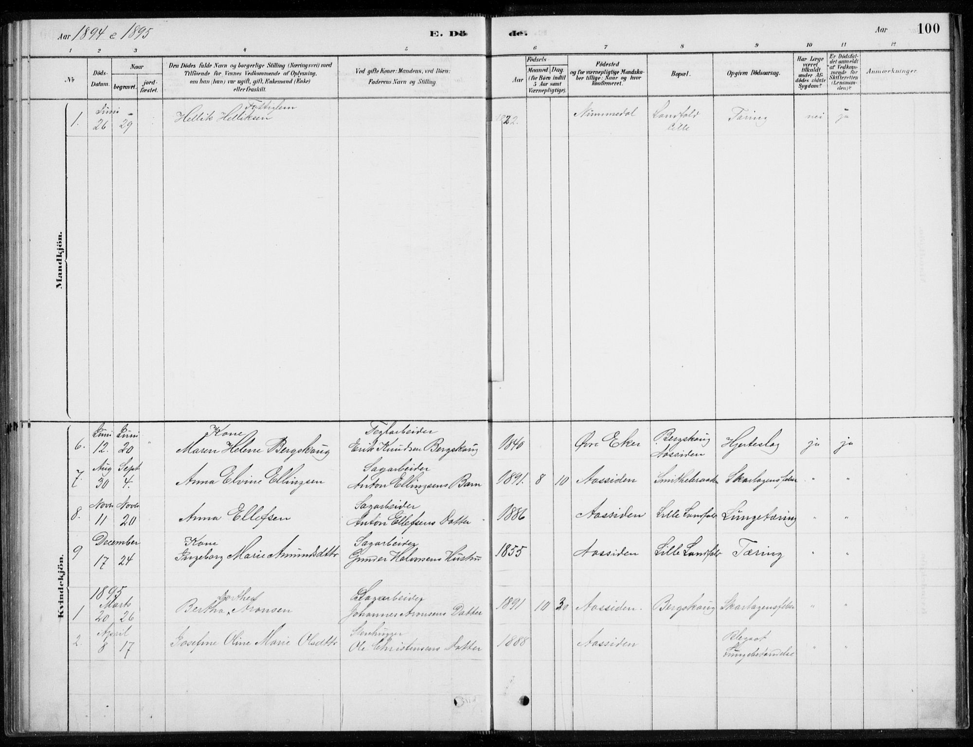 Åssiden kirkebøker, SAKO/A-251/F/Fa/L0001: Parish register (official) no. 1, 1878-1904, p. 100