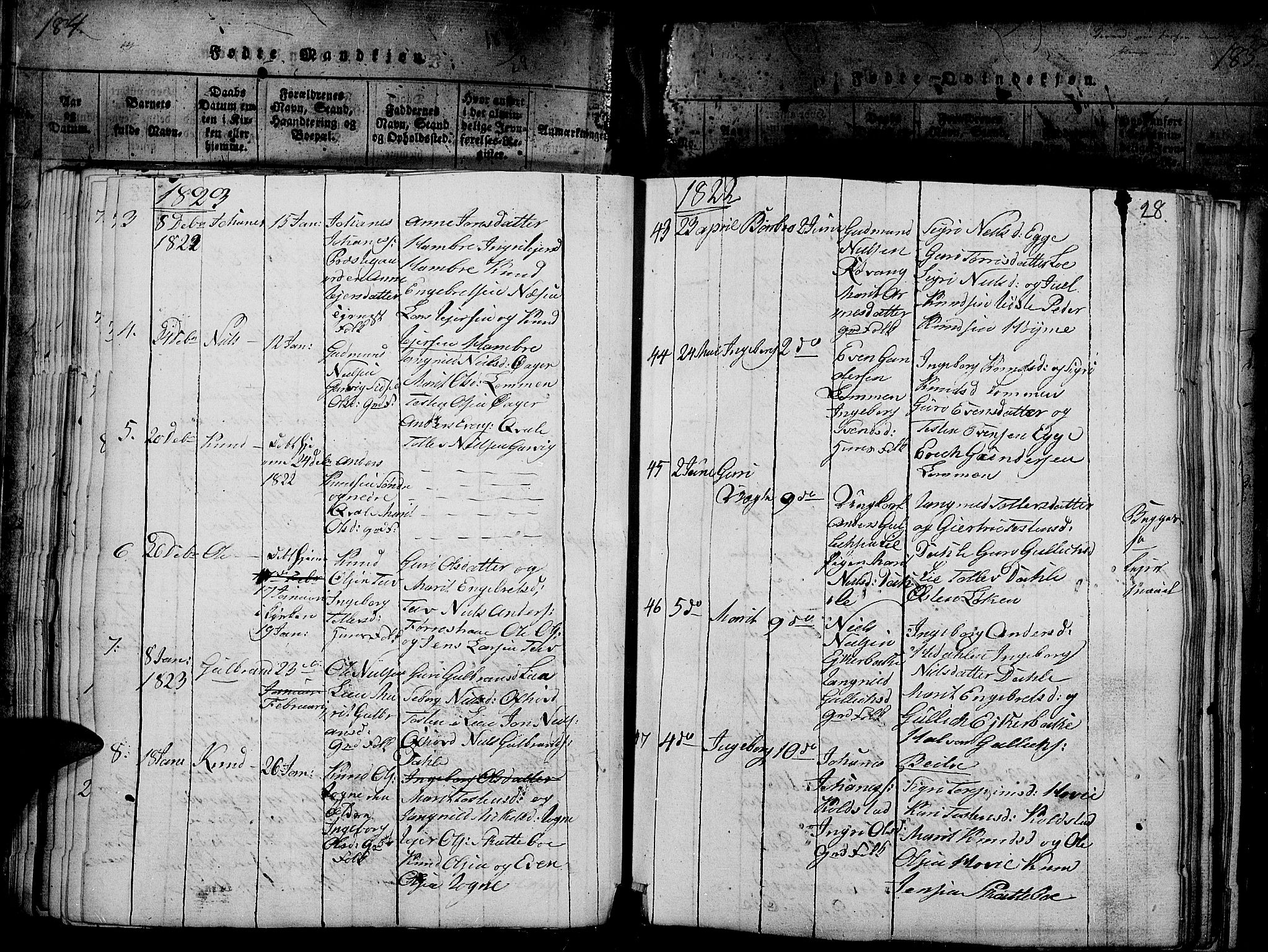 Slidre prestekontor, SAH/PREST-134/H/Ha/Haa/L0002: Parish register (official) no. 2, 1814-1830, p. 185b