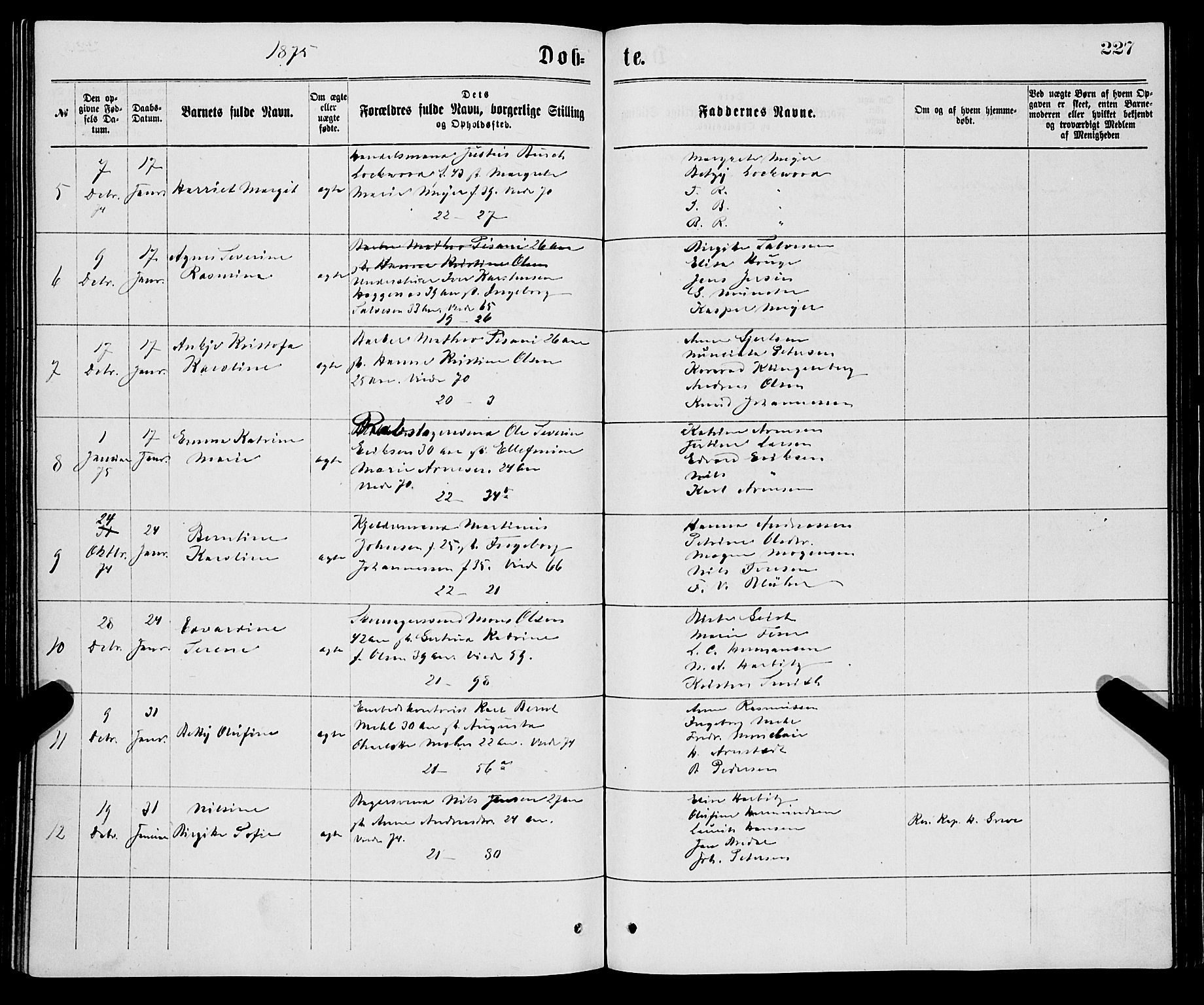 Korskirken sokneprestembete, AV/SAB-A-76101/H/Haa/L0020: Parish register (official) no. B 6, 1871-1878, p. 227