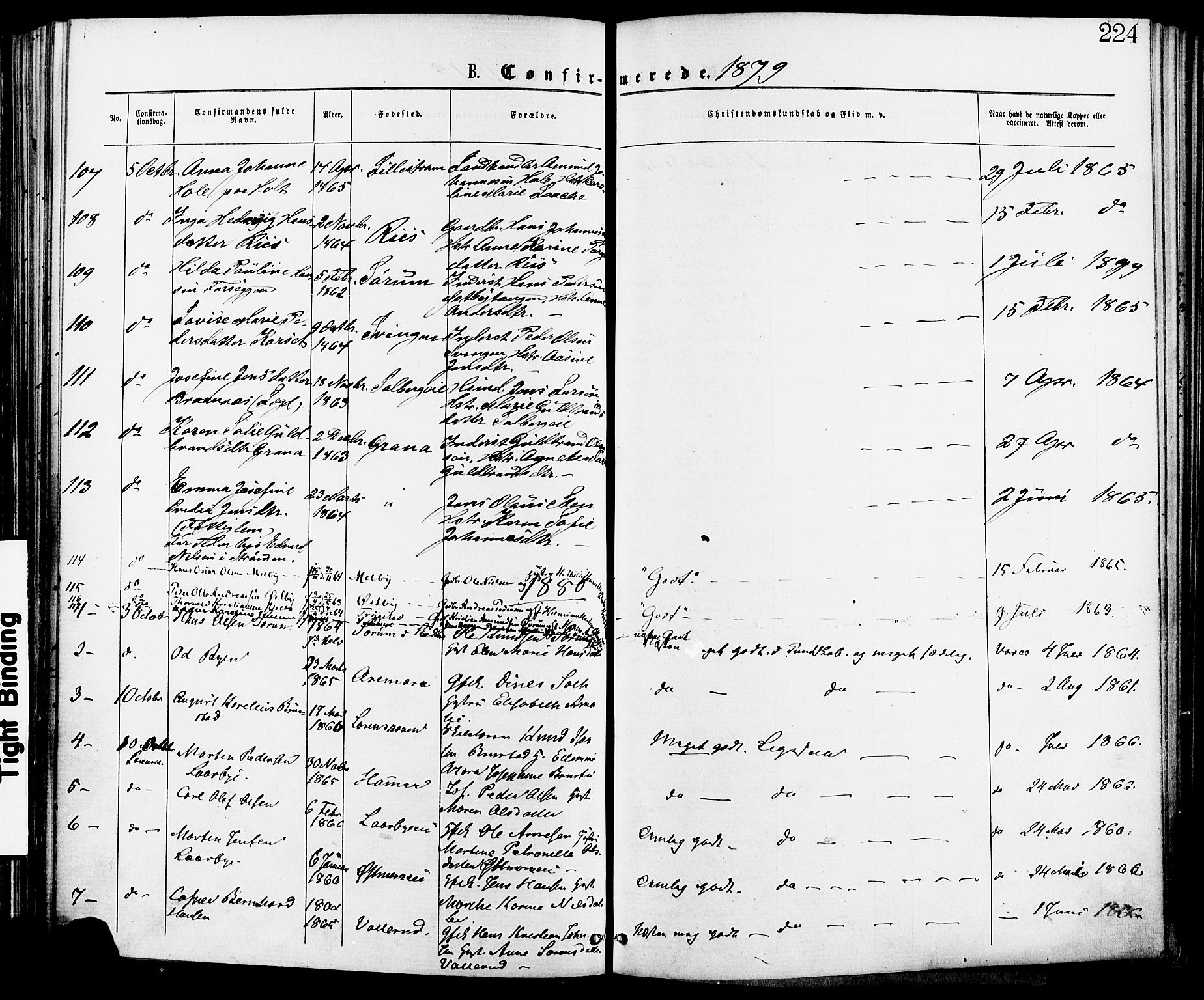 Skedsmo prestekontor Kirkebøker, AV/SAO-A-10033a/F/Fa/L0012: Parish register (official) no. I 12, 1876-1883, p. 224