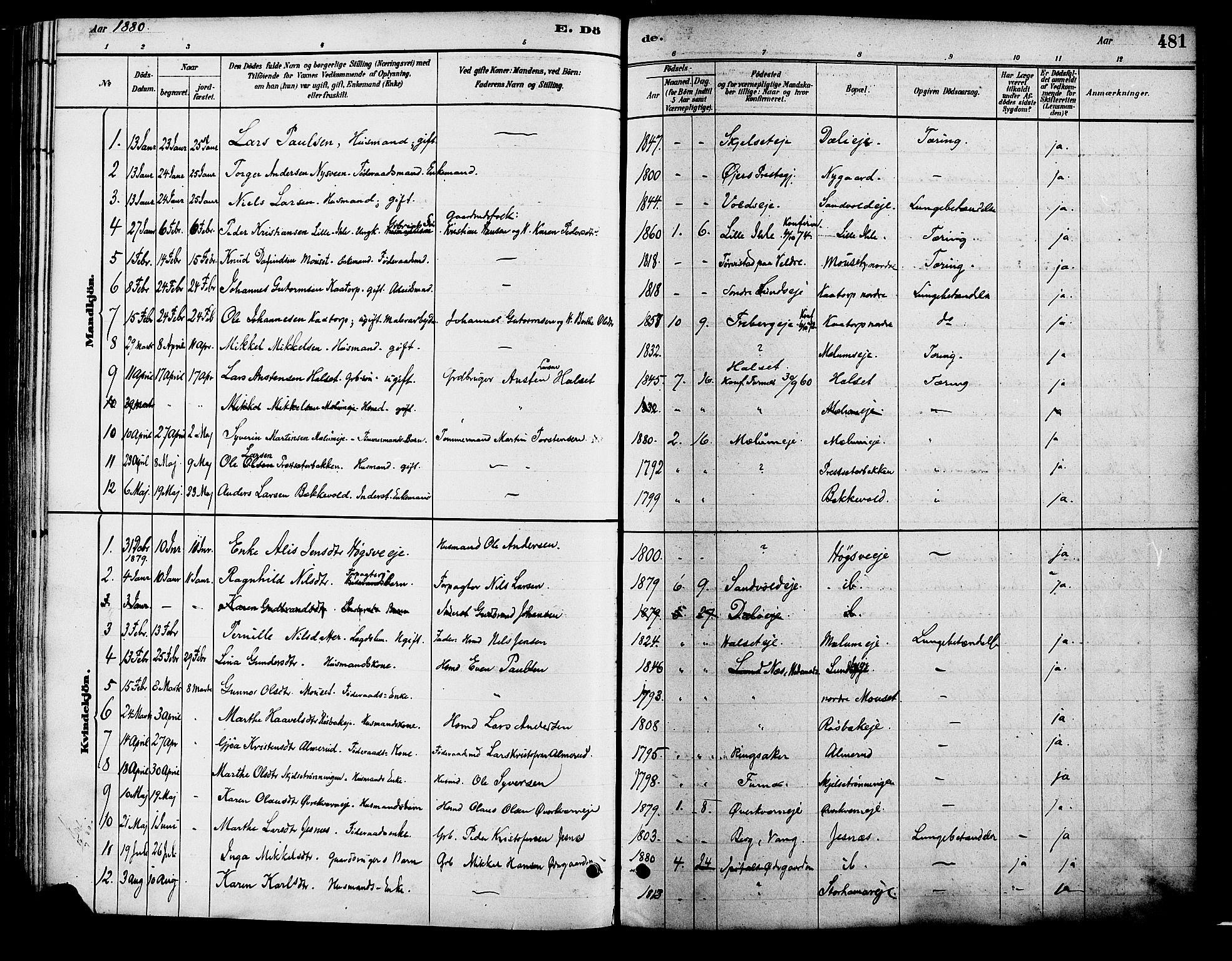 Vang prestekontor, Hedmark, SAH/PREST-008/H/Ha/Haa/L0018B: Parish register (official) no. 18B, 1880-1906, p. 481