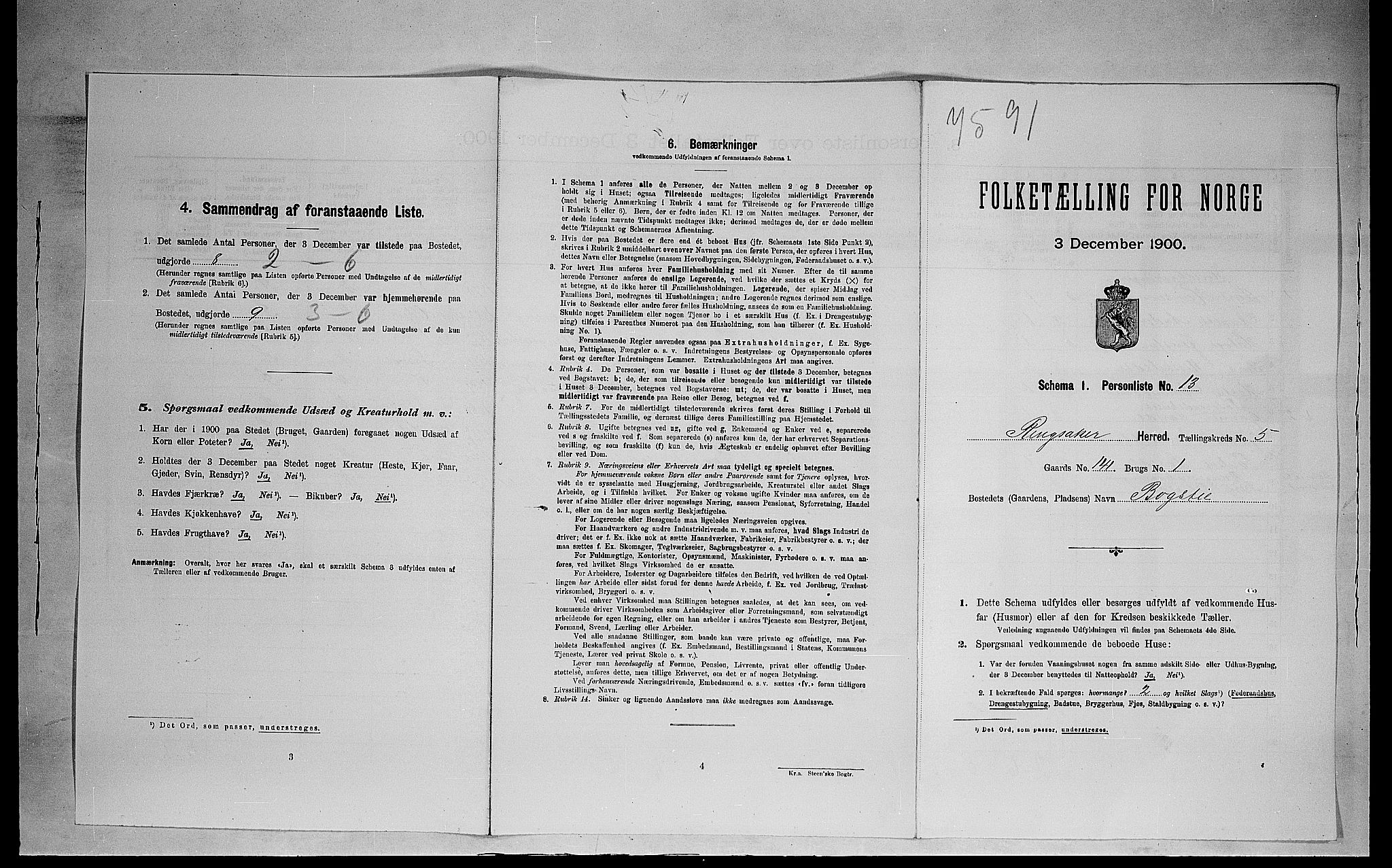 SAH, 1900 census for Ringsaker, 1900, p. 1073