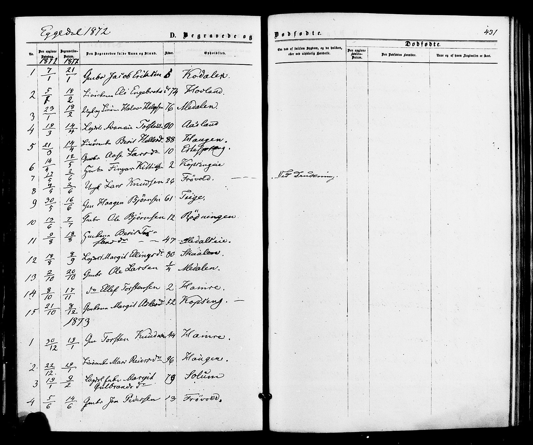 Sigdal kirkebøker, SAKO/A-245/F/Fa/L0010: Parish register (official) no. I 10 /3, 1872-1878, p. 431