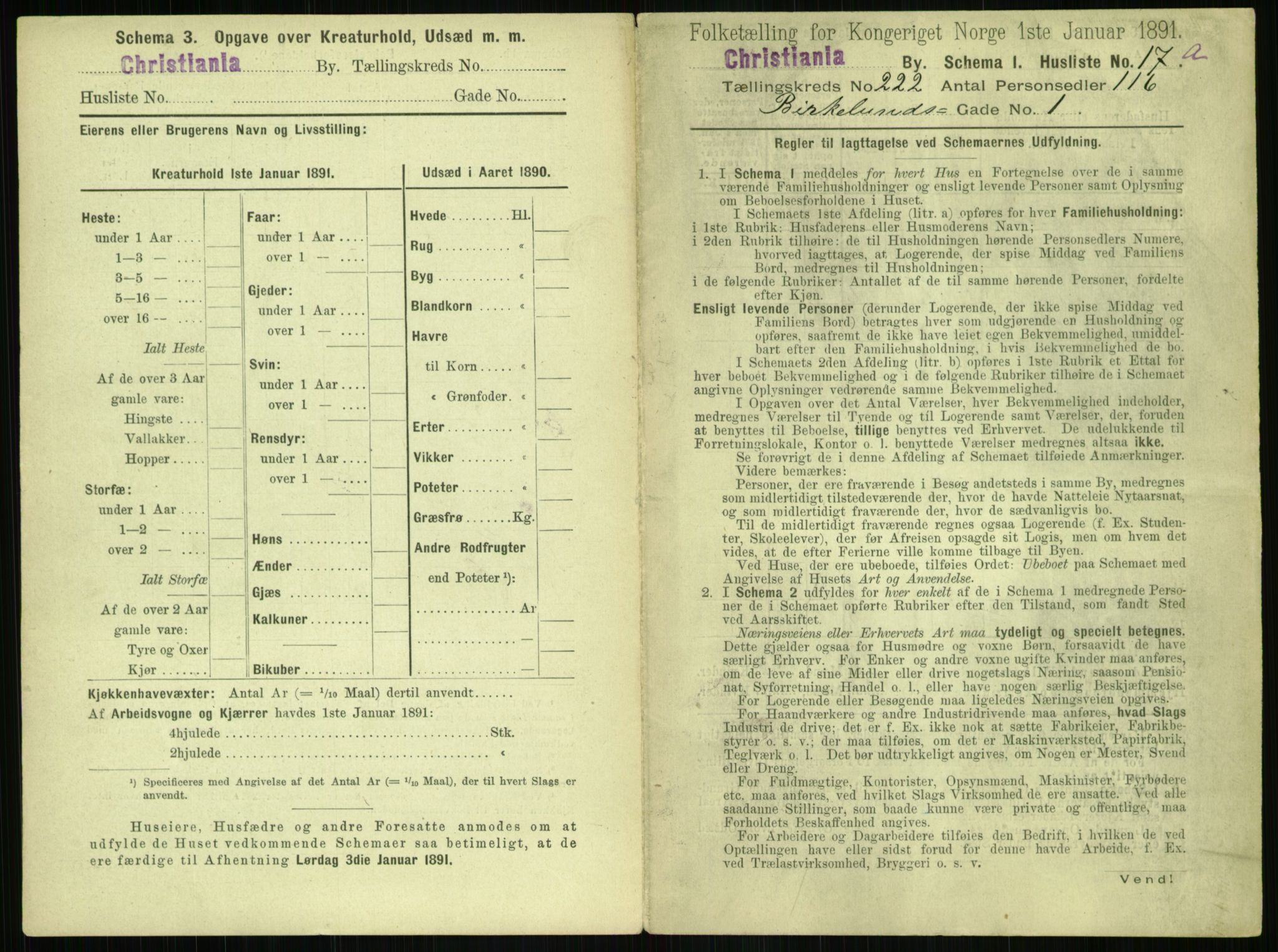RA, 1891 census for 0301 Kristiania, 1891, p. 133055