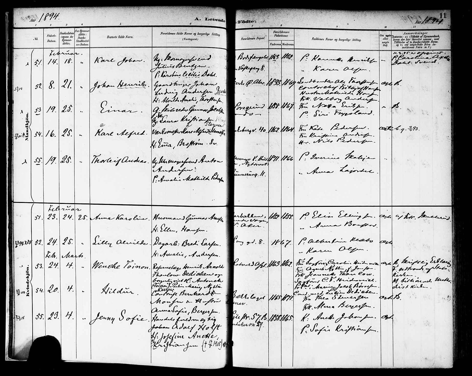 Rikshospitalet prestekontor Kirkebøker, SAO/A-10309b/F/L0009: Parish register (official) no. 9, 1894-1897, p. 11