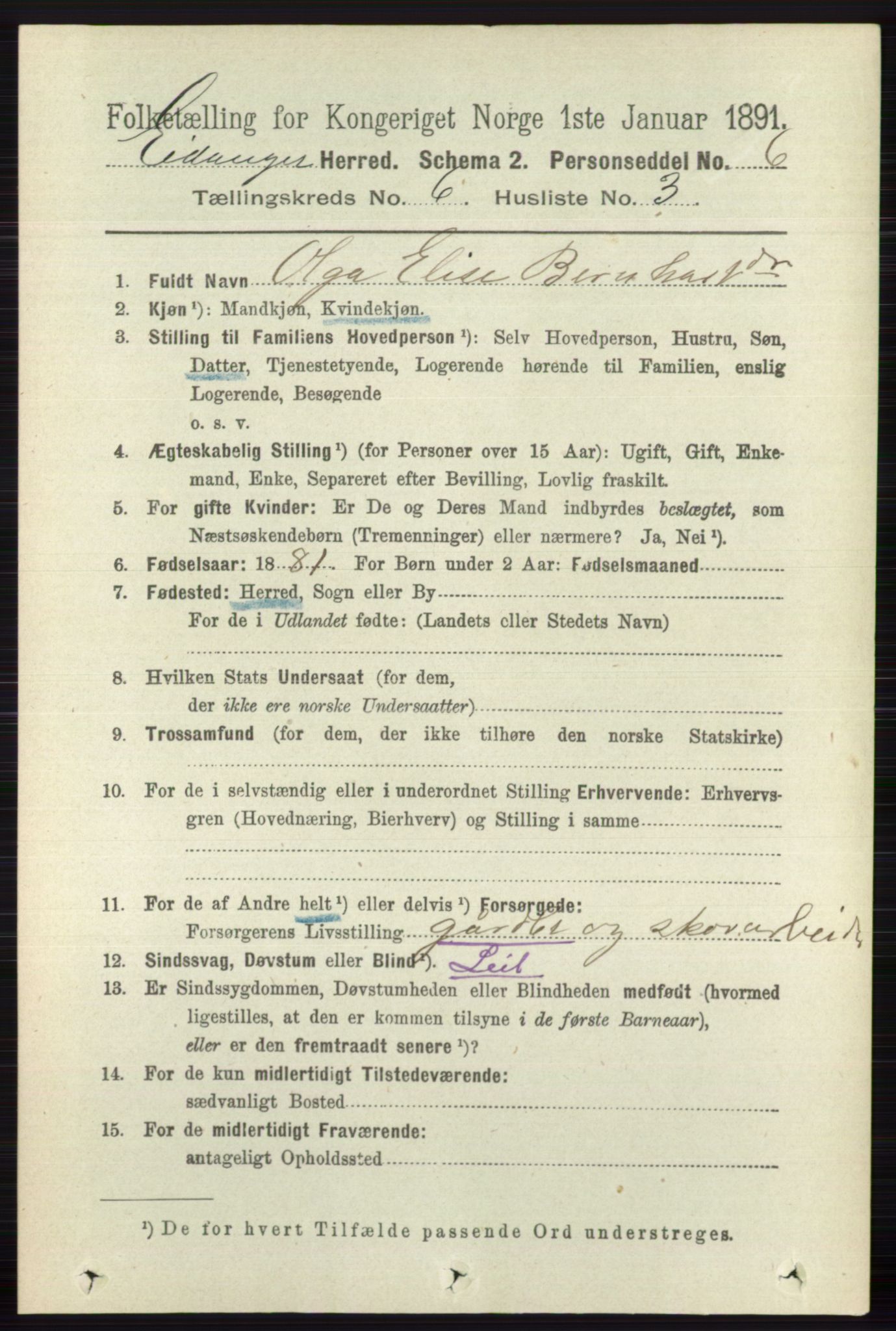 RA, 1891 census for 0813 Eidanger, 1891, p. 2582