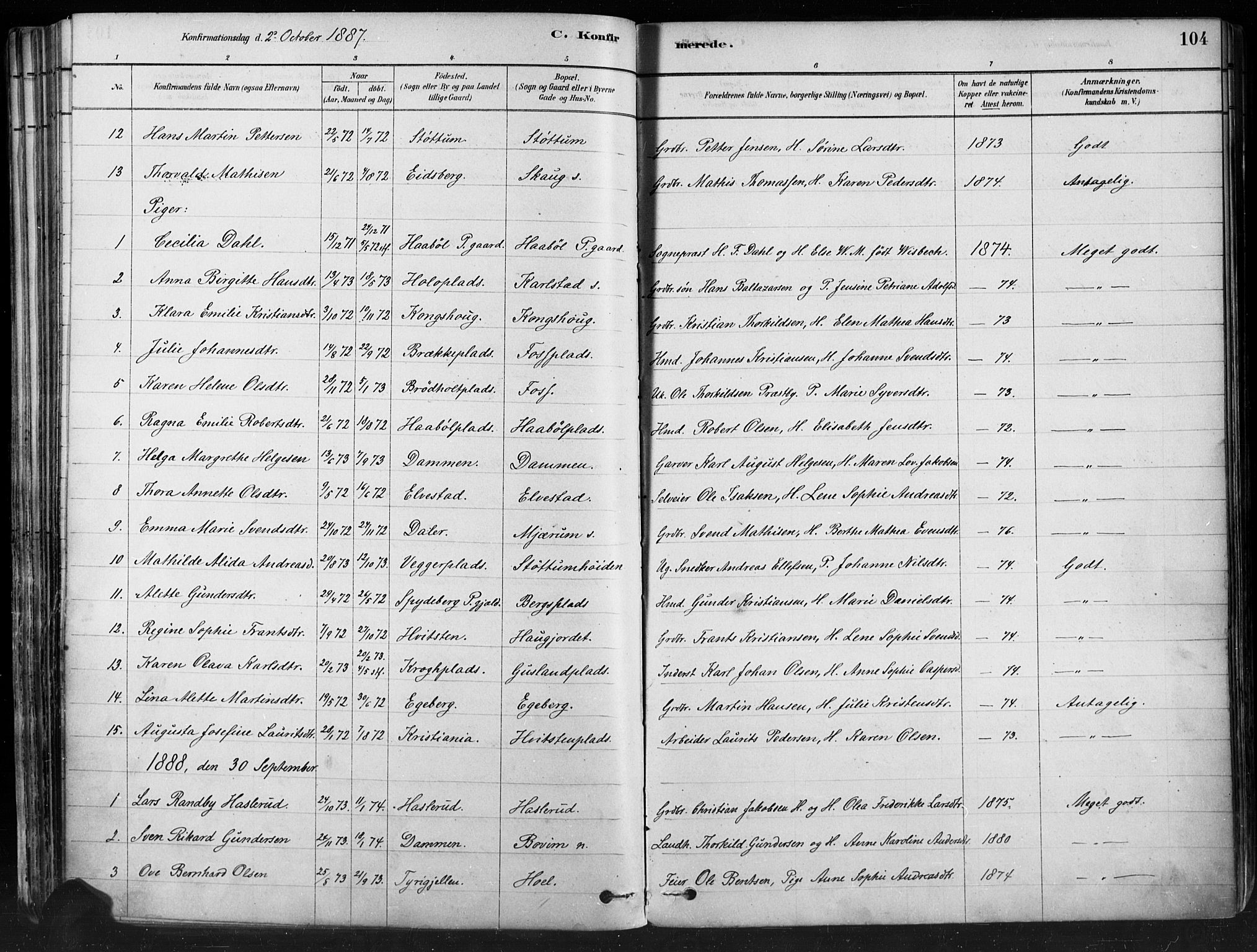 Hobøl prestekontor Kirkebøker, AV/SAO-A-2002/F/Fa/L0005: Parish register (official) no. I 5, 1878-1904, p. 104