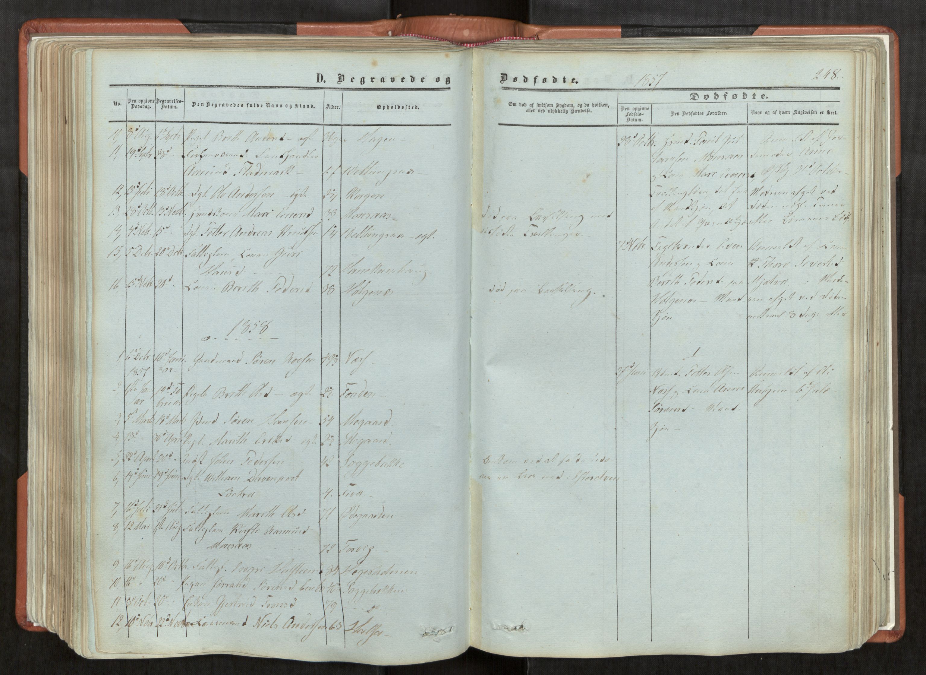 Ministerialprotokoller, klokkerbøker og fødselsregistre - Møre og Romsdal, AV/SAT-A-1454/544/L0572: Parish register (official) no. 544A05, 1854-1886, p. 248