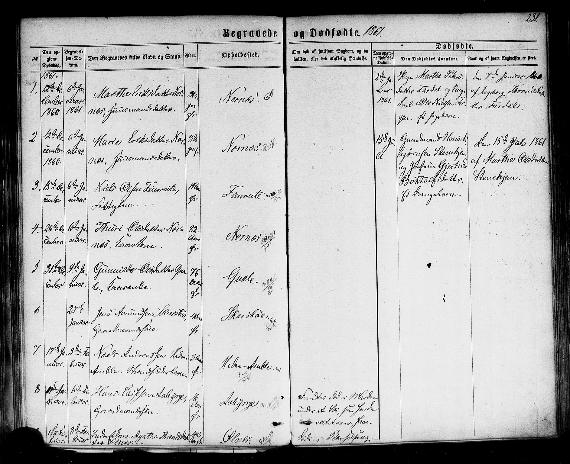Sogndal sokneprestembete, SAB/A-81301/H/Haa/Haaa/L0013: Parish register (official) no. A 13, 1859-1877, p. 231