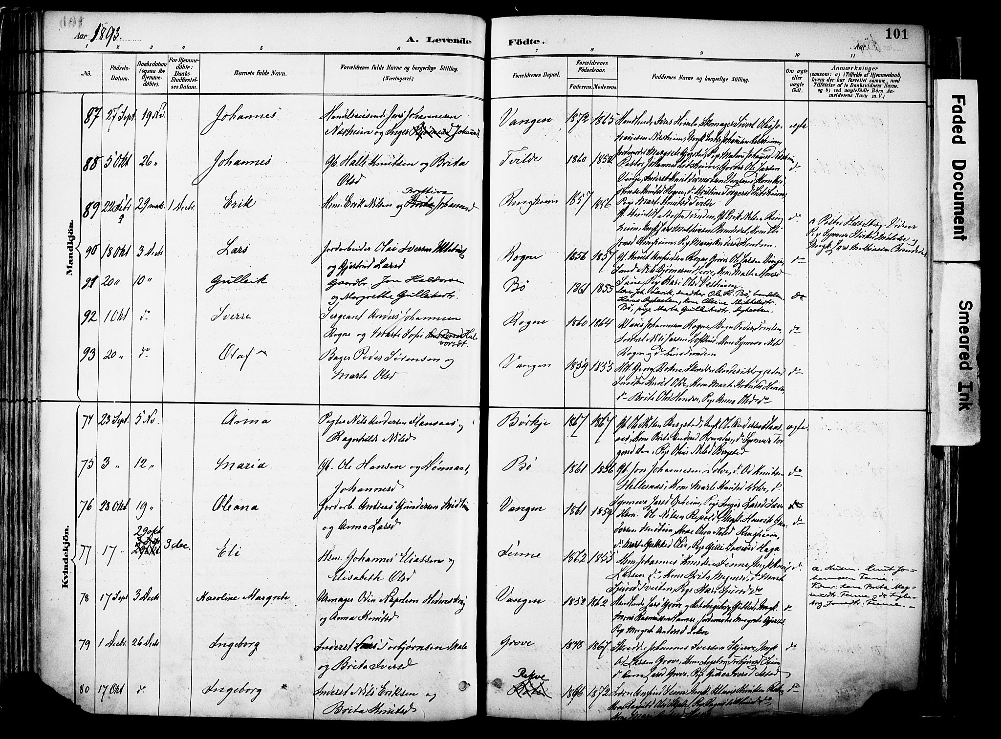 Voss sokneprestembete, AV/SAB-A-79001/H/Haa: Parish register (official) no. A 21, 1887-1903, p. 101