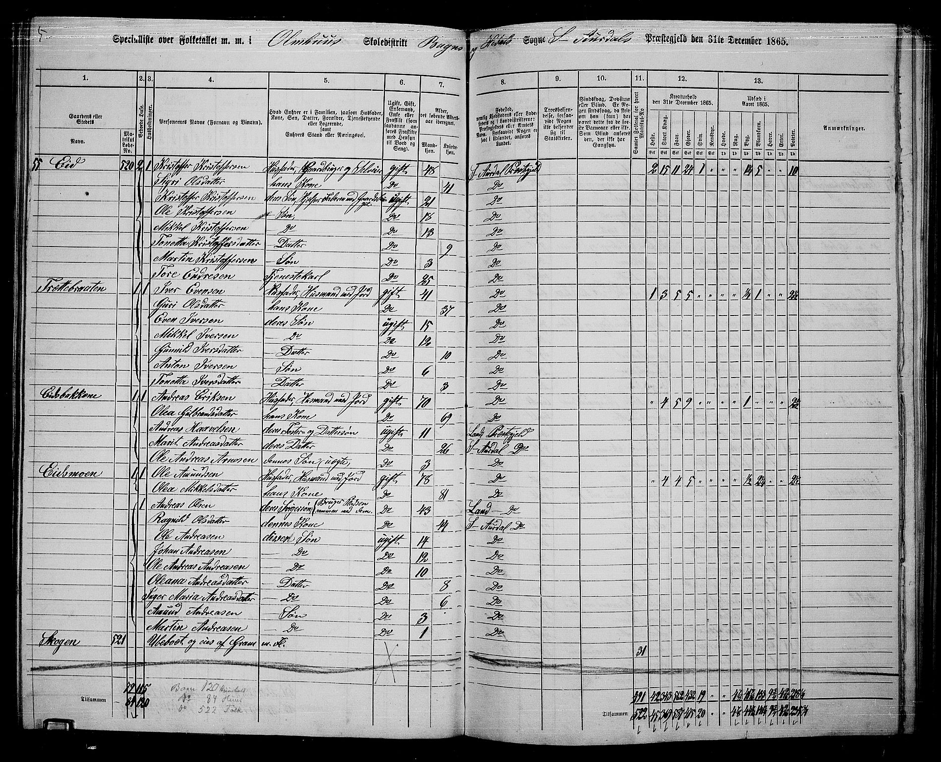 RA, 1865 census for Sør-Aurdal, 1865, p. 116