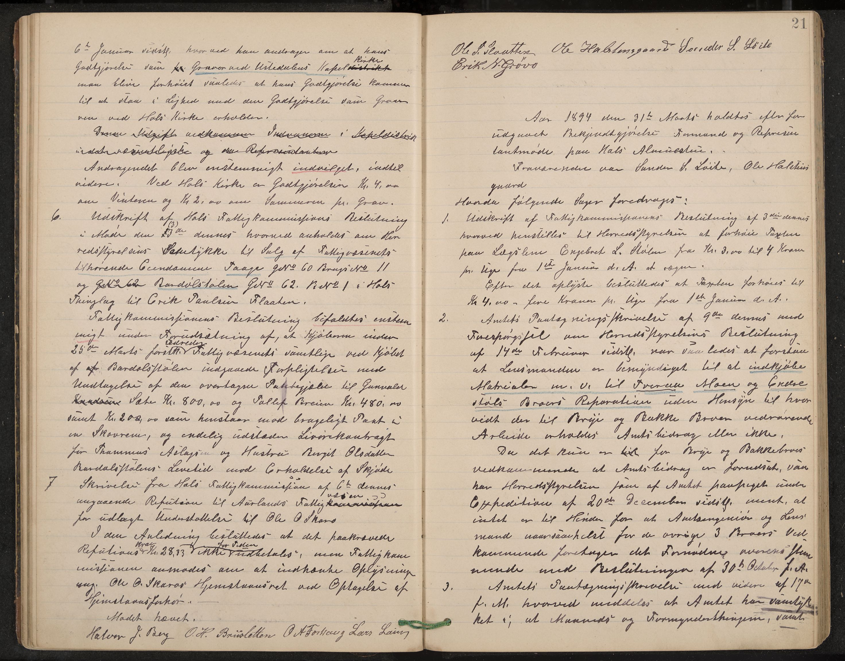 Hol formannskap og sentraladministrasjon, IKAK/0620021-1/A/L0002: Møtebok, 1893-1897, p. 21