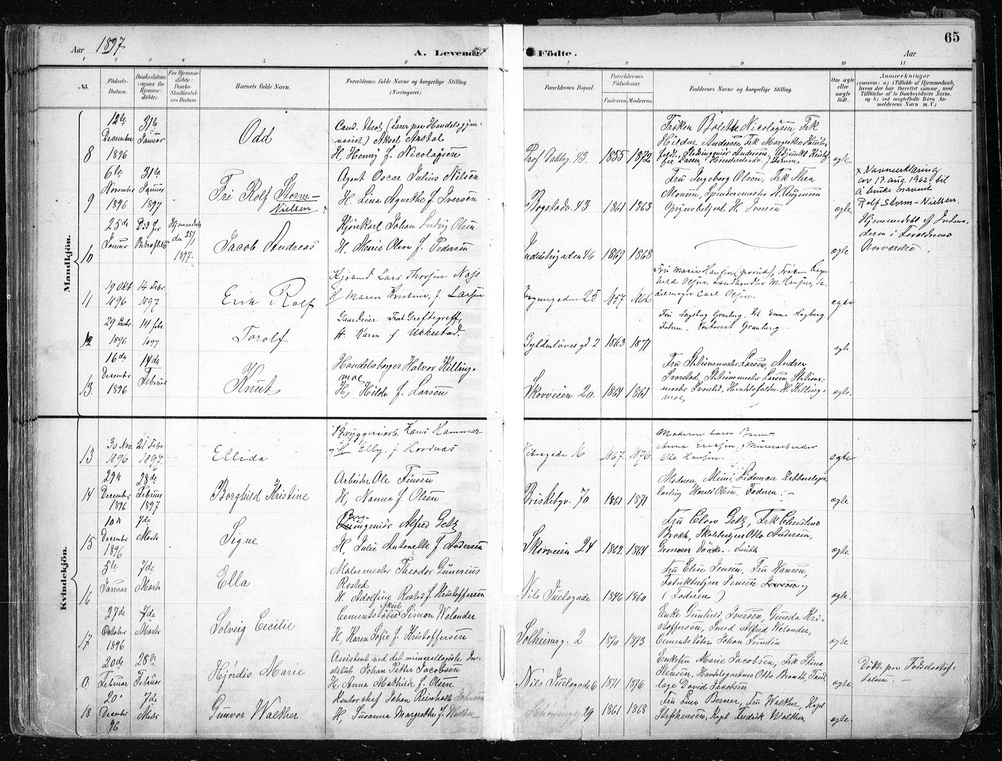 Uranienborg prestekontor Kirkebøker, AV/SAO-A-10877/F/Fa/L0005: Parish register (official) no. 5, 1895-1907, p. 65