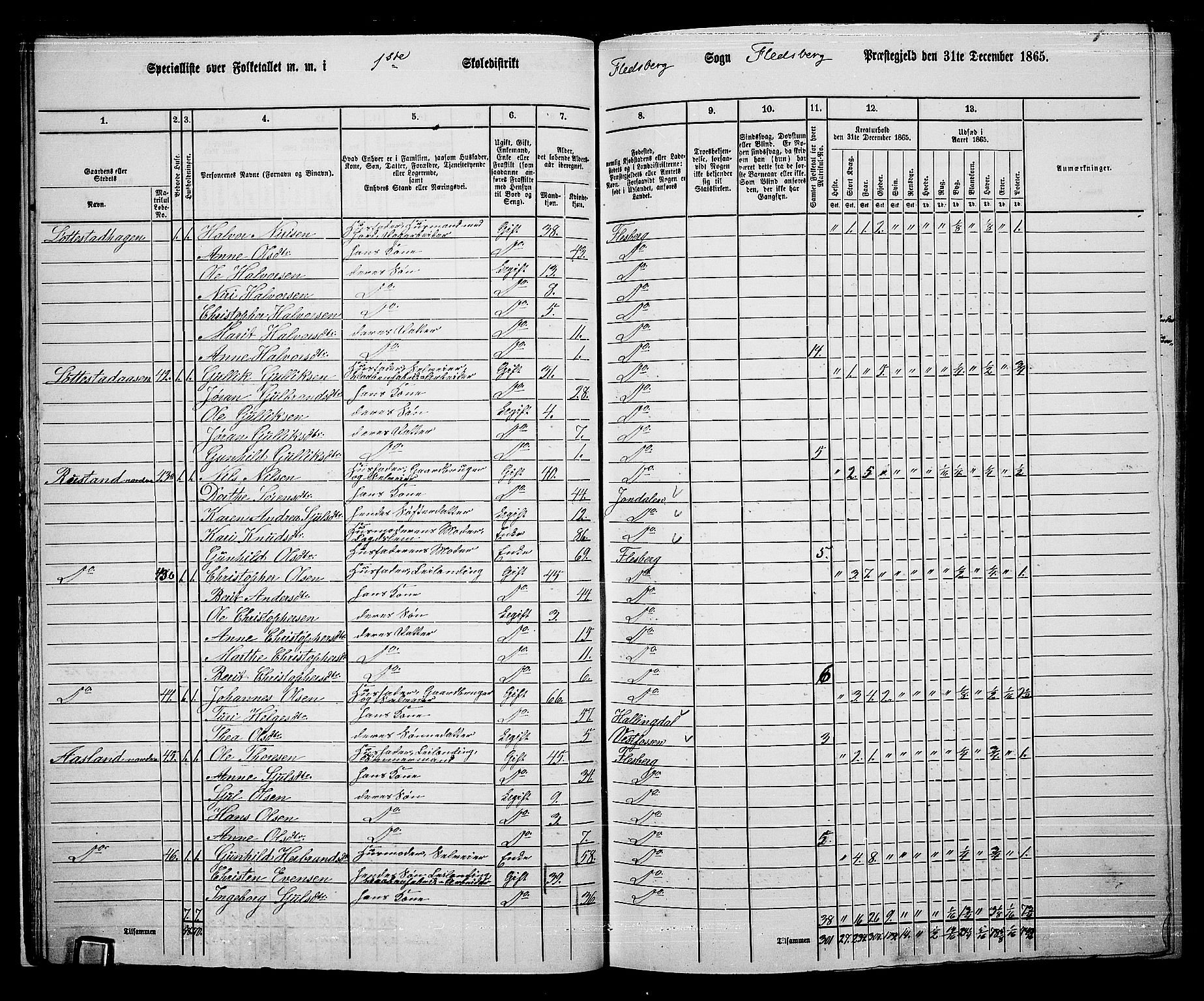 RA, 1865 census for Flesberg, 1865, p. 22