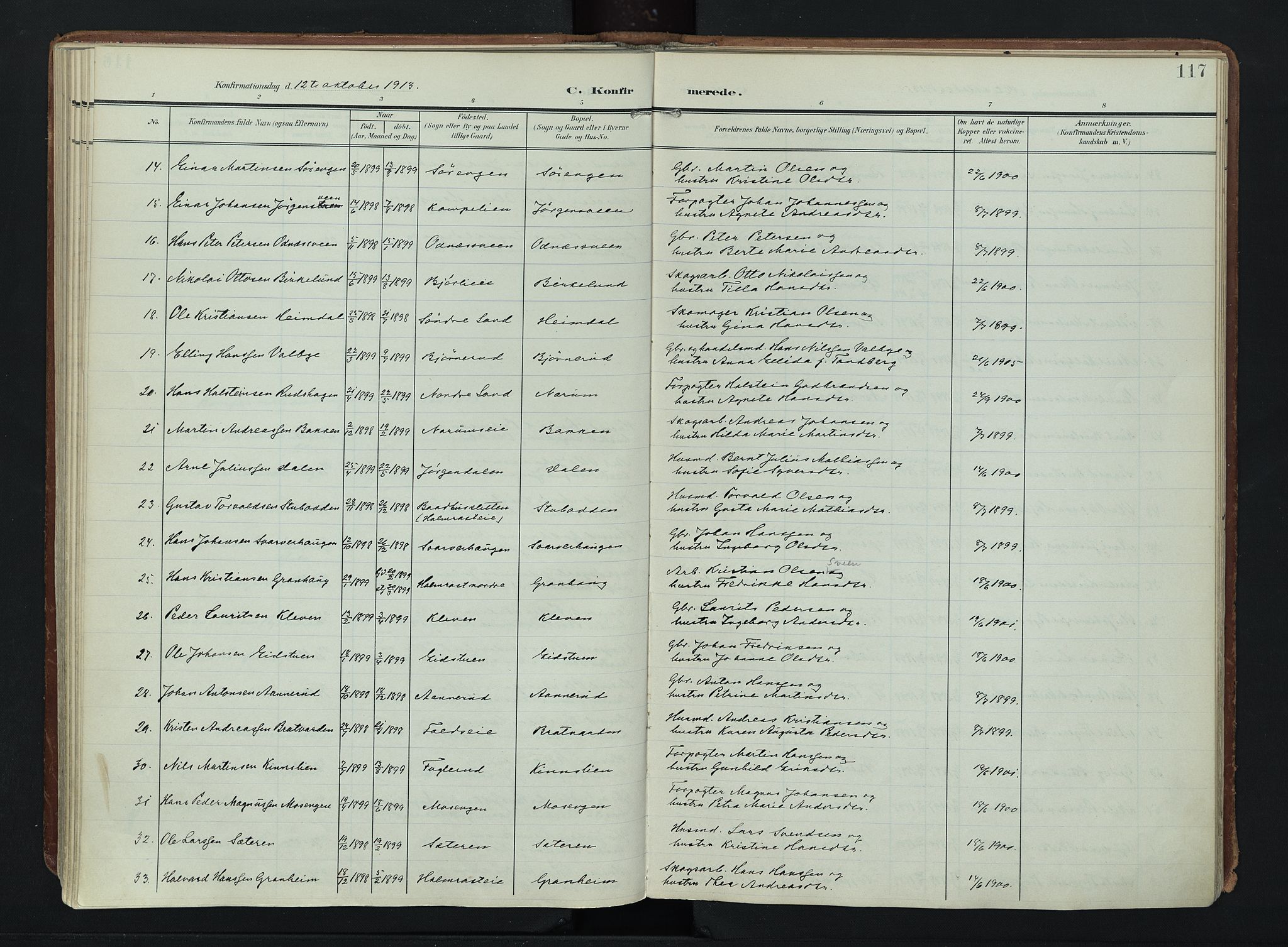 Søndre Land prestekontor, SAH/PREST-122/K/L0007: Parish register (official) no. 7, 1905-1914, p. 117