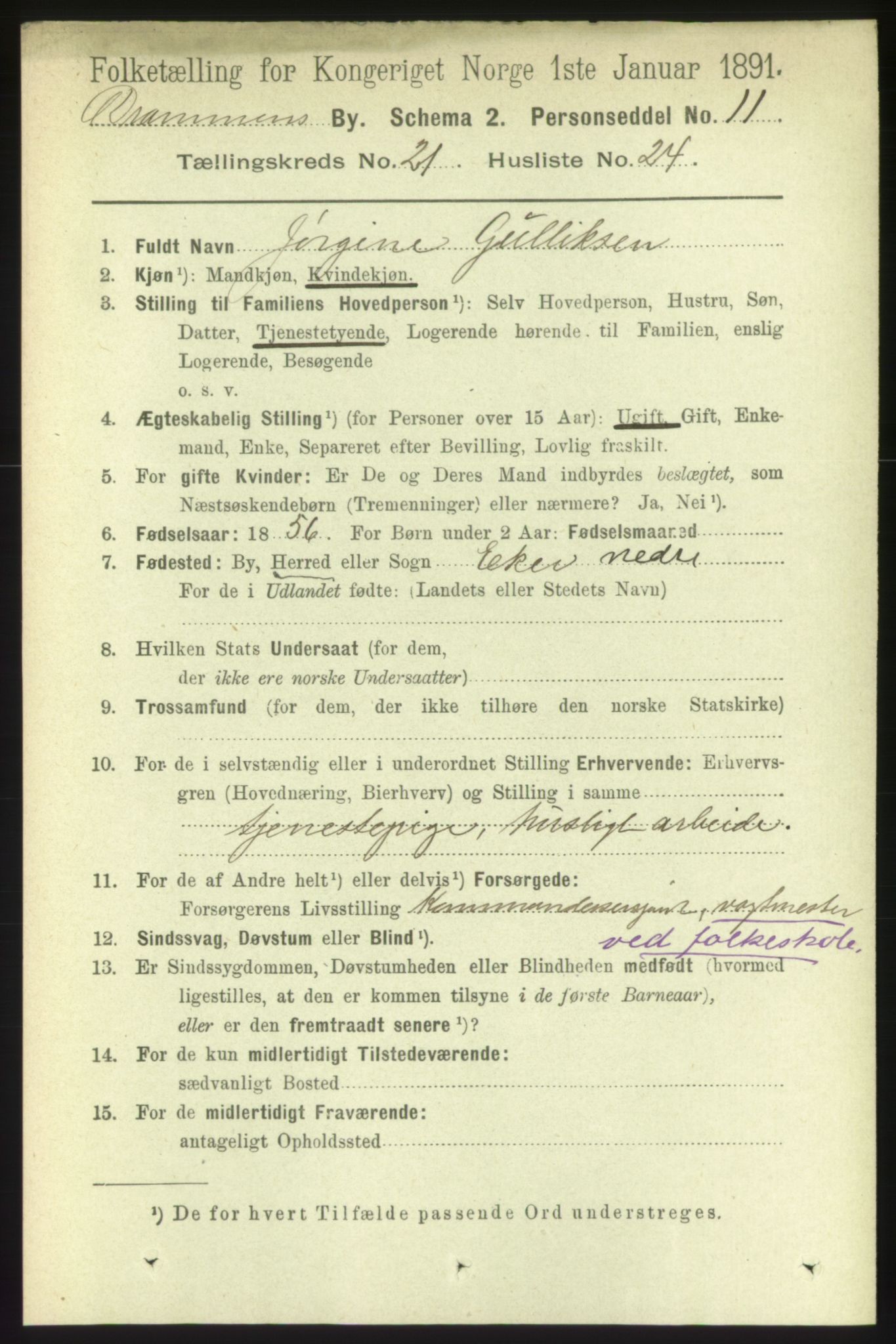 RA, 1891 census for 0602 Drammen, 1891, p. 13314