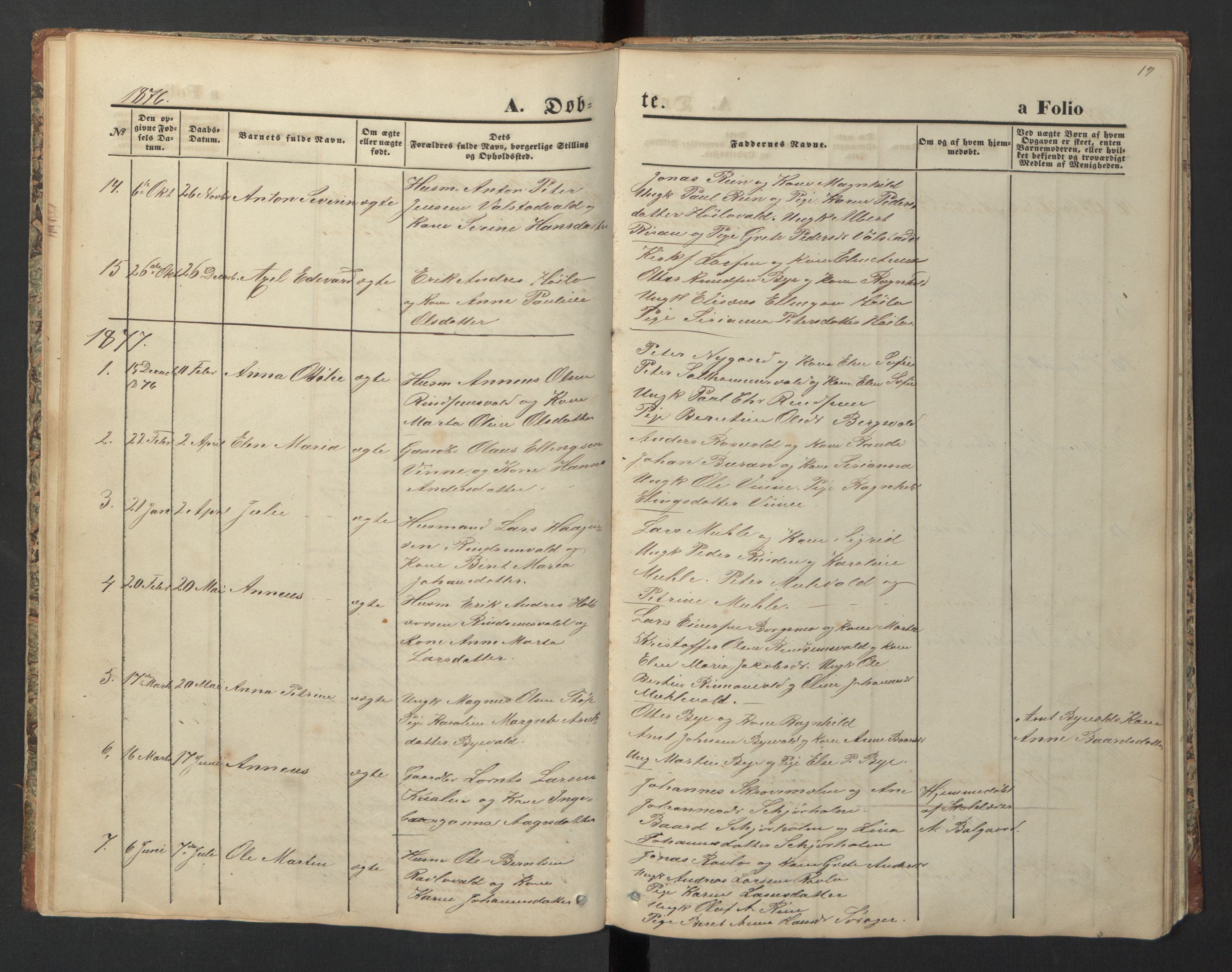 Ministerialprotokoller, klokkerbøker og fødselsregistre - Nord-Trøndelag, SAT/A-1458/726/L0271: Parish register (copy) no. 726C02, 1869-1897, p. 19