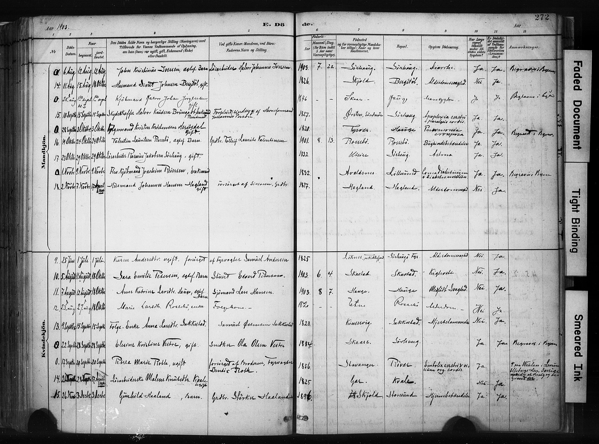 Haugesund sokneprestkontor, SAST/A -101863/H/Ha/Haa/L0004: Parish register (official) no. A 4, 1886-1908, p. 272